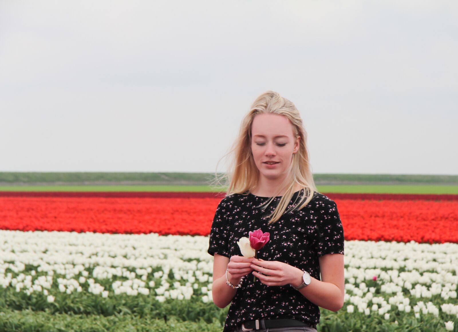 Canon EF-S 17-85mm F4-5.6 IS USM sample photo. Spring, dutch spring, tulips photography