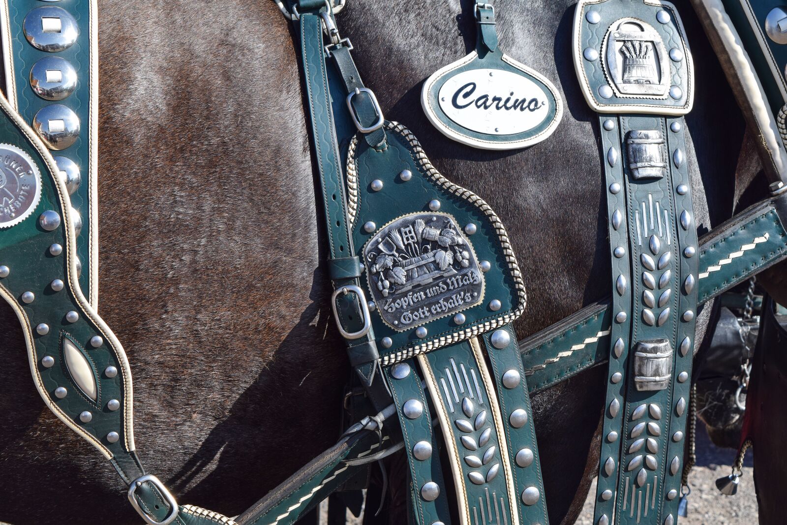 Nikon D3300 sample photo. Harness for horses, close photography