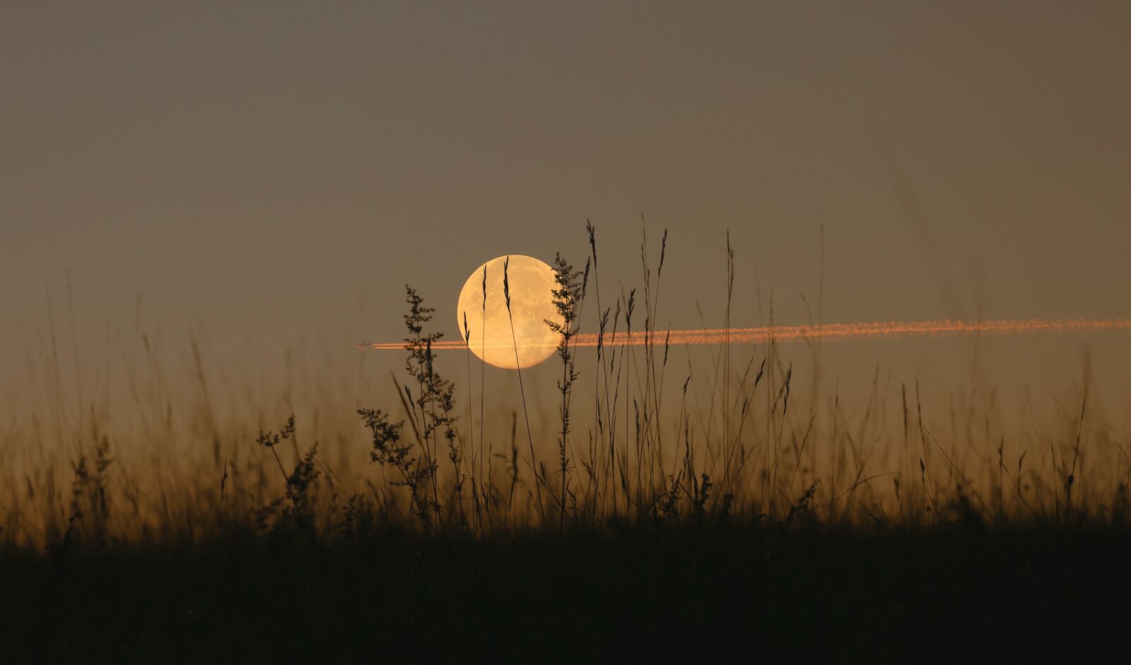 Canon EOS 6D + Canon EF 70-200mm F4L USM sample photo. Moon, landscape, night photography