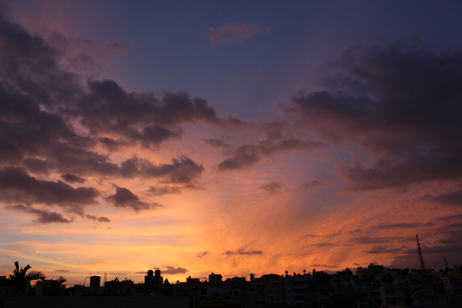 Canon EOS 700D (EOS Rebel T5i / EOS Kiss X7i) sample photo. Bangalore photography
