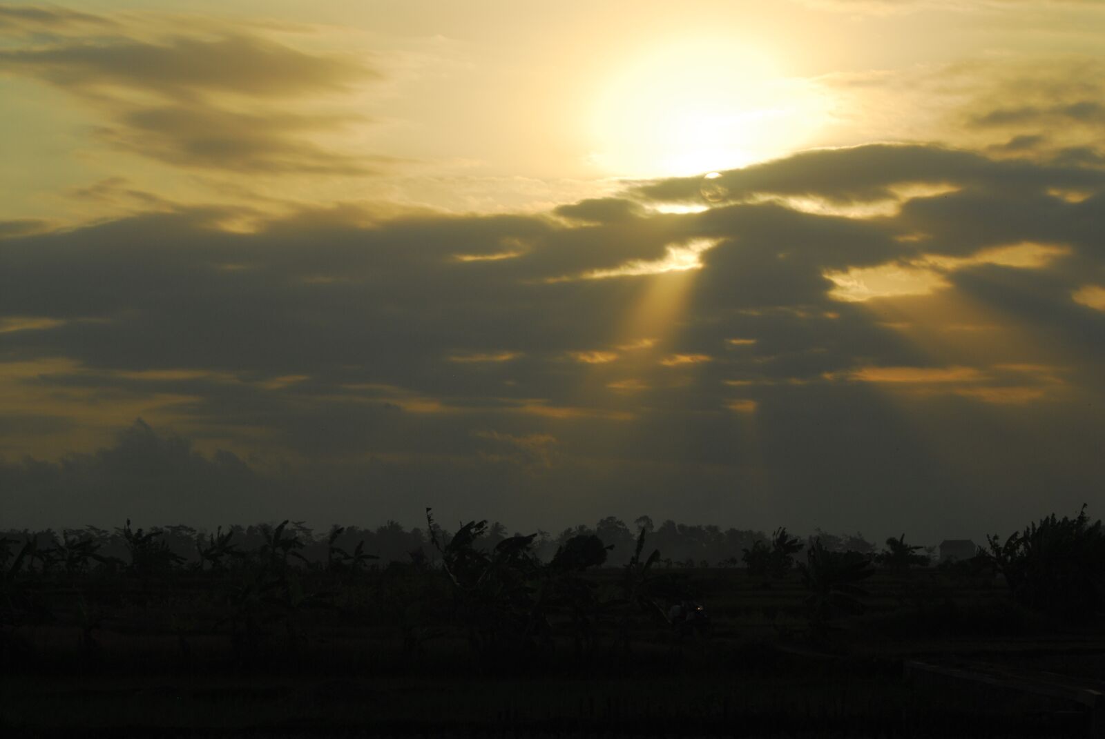 Nikon D200 sample photo. Sun, sky, nature photography