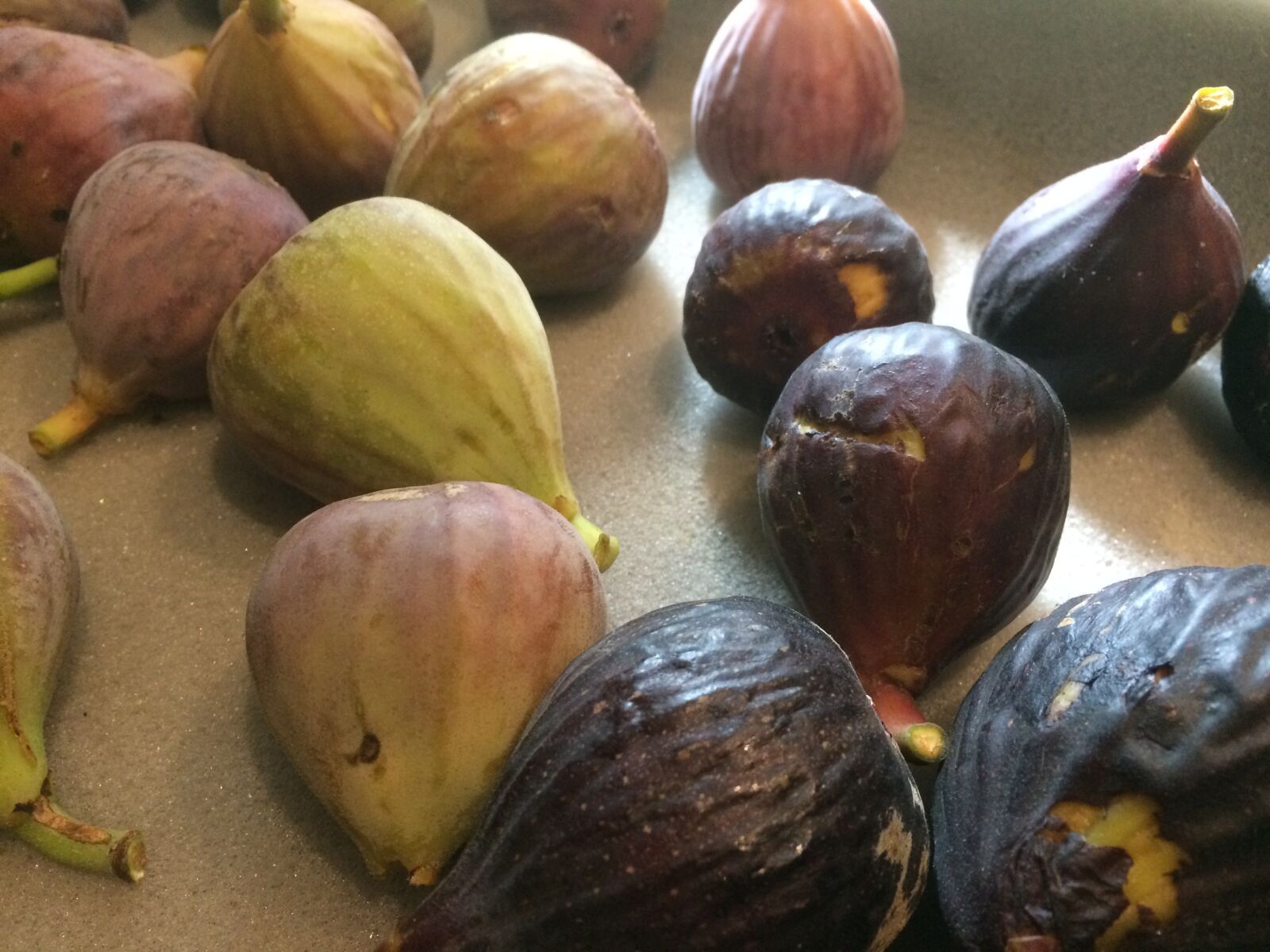 iPhone 5s back camera 4.15mm f/2.2 sample photo. Babylonstoren, garden, fruit photography