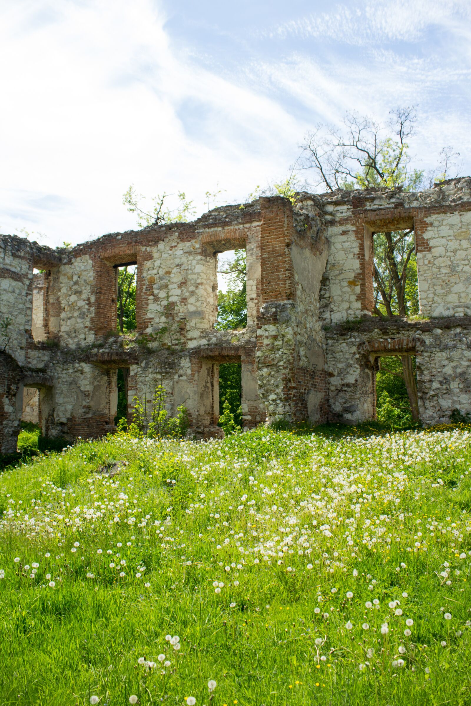 Canon EOS 60D sample photo. Bychawa, the ruins of photography