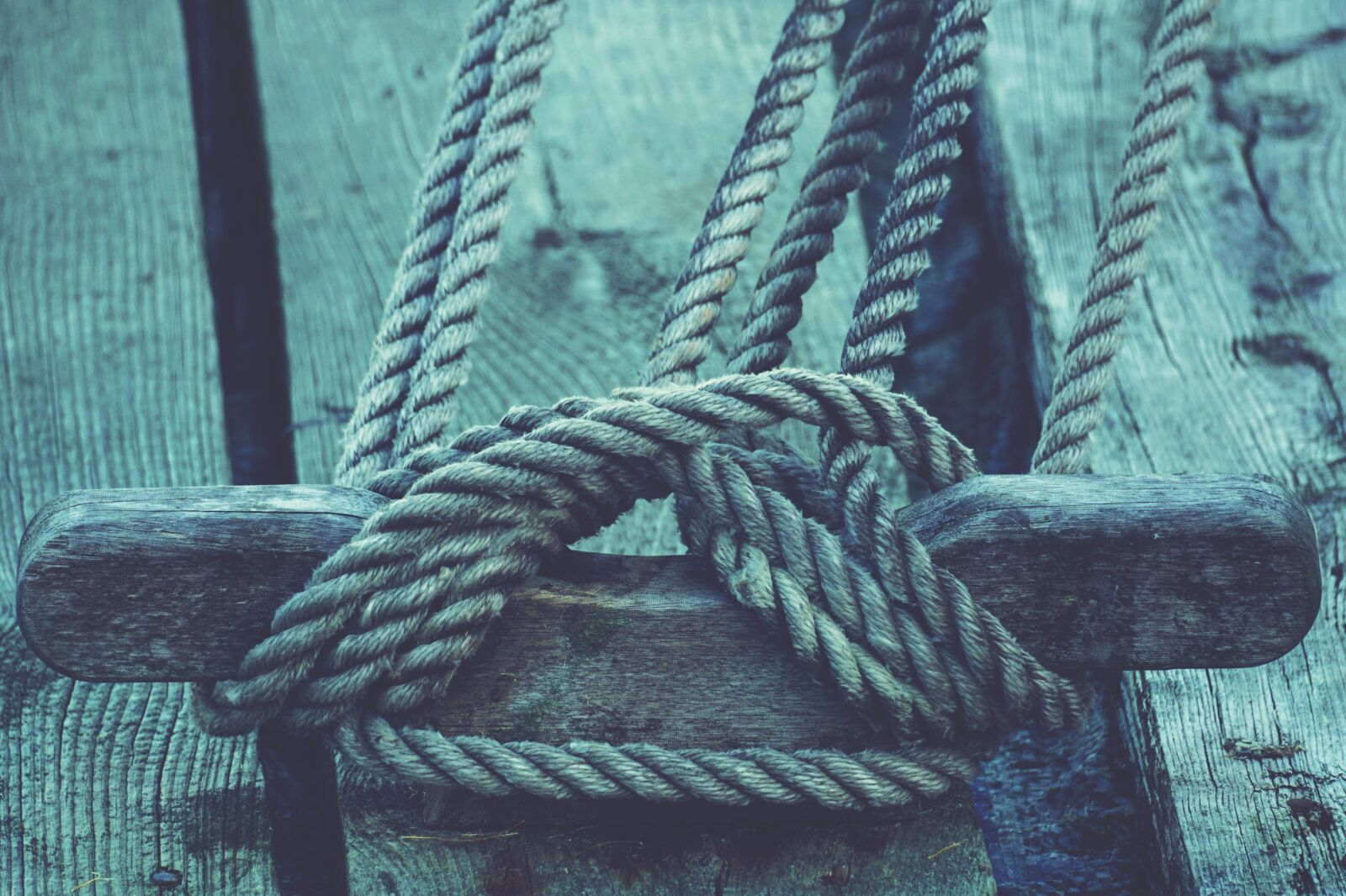 Sony a6000 sample photo. Rope, dew, knot photography