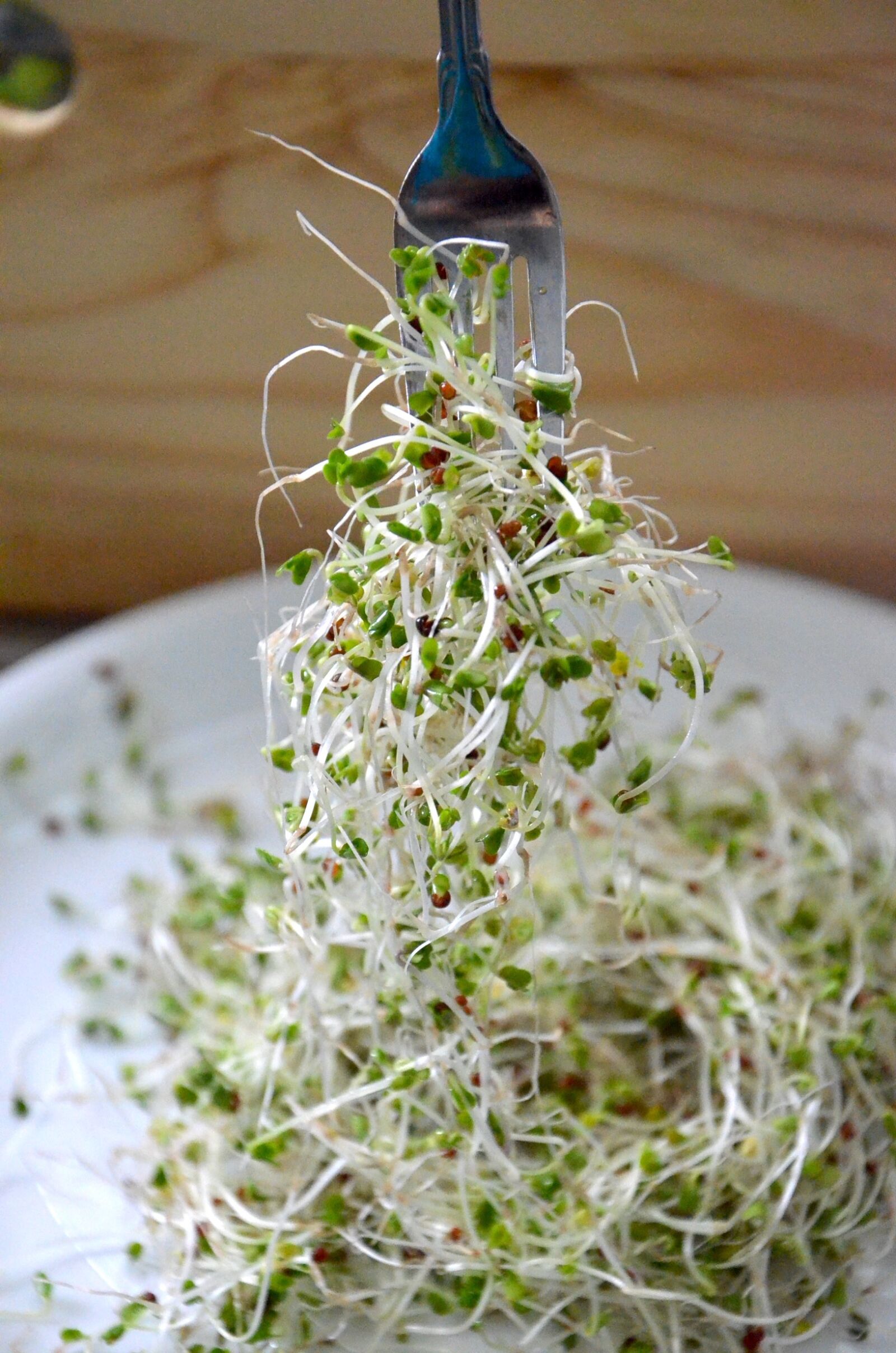 Nikon D7000 sample photo. Broccoli sprouts, super food photography