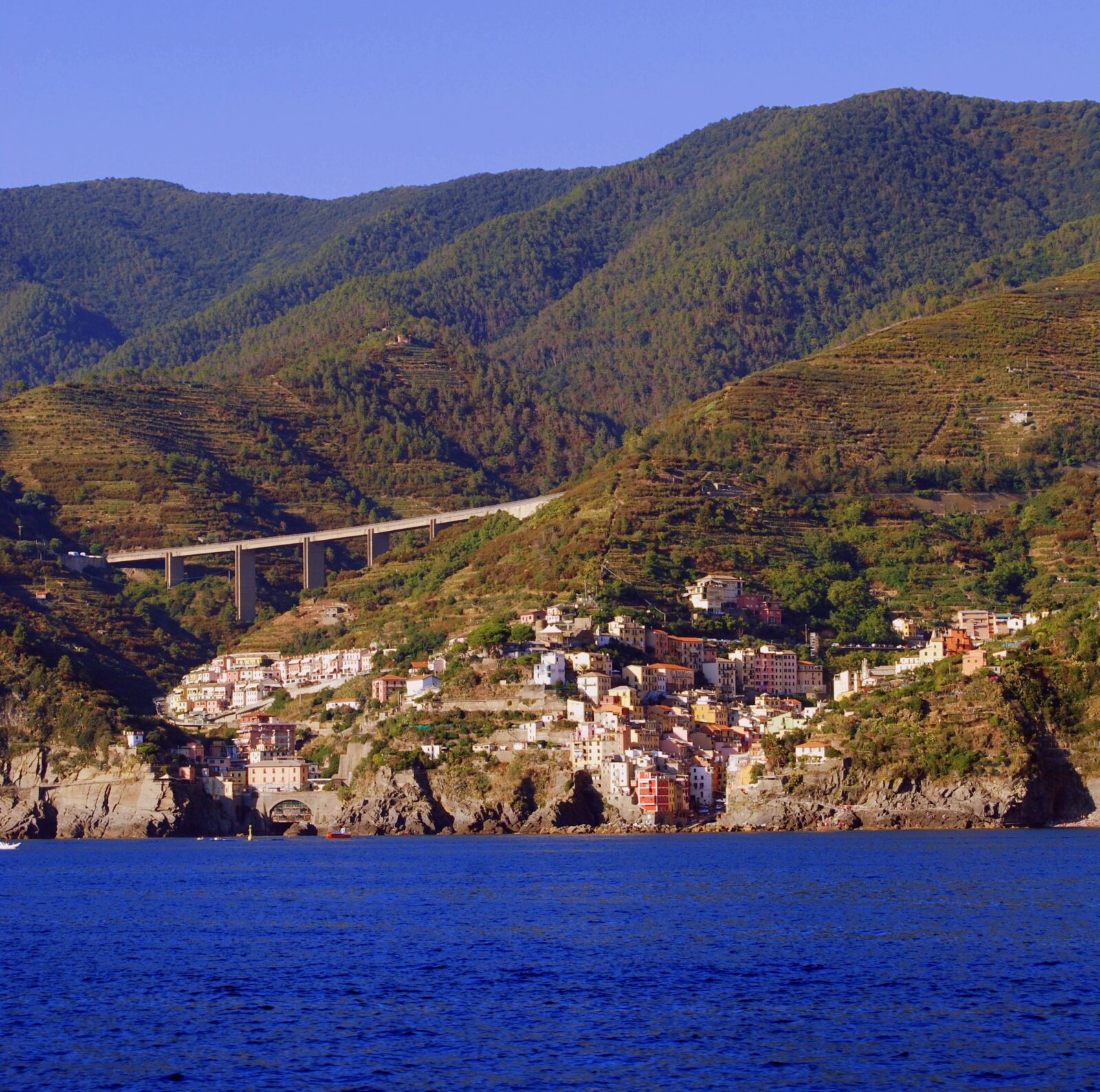 Nikon D60 sample photo. Sea, mountain, riomaggiore photography