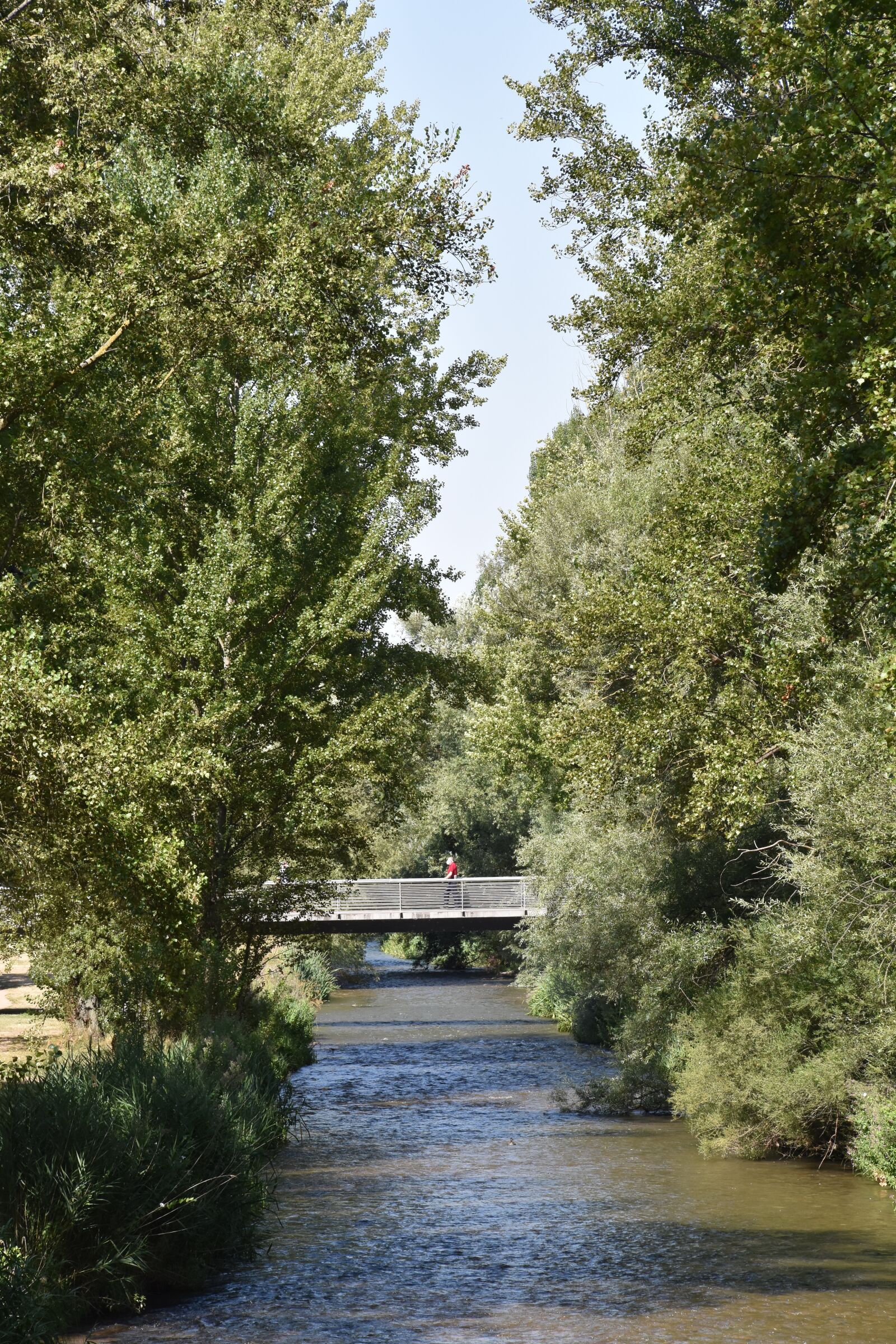 Nikon D7200 sample photo. River, trees, río photography