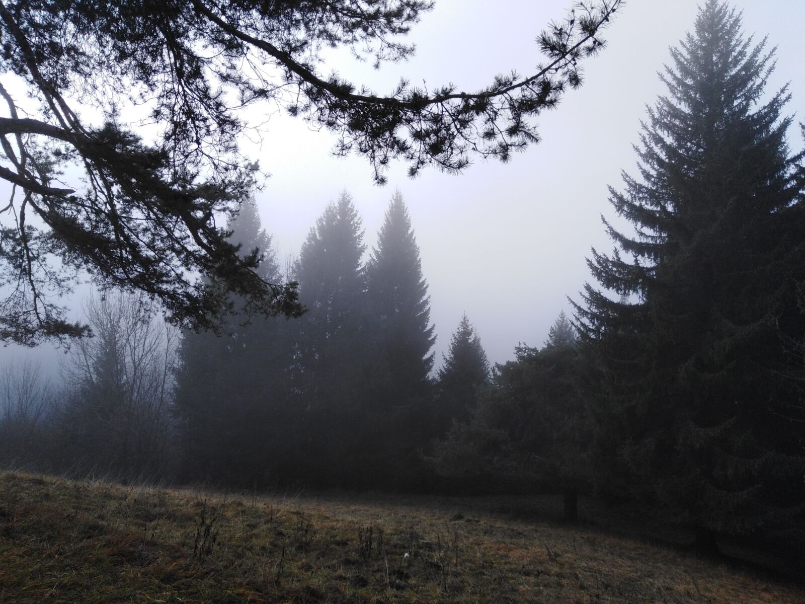 HUAWEI Honor 7A sample photo. Lorenzago, cadore, belluno photography