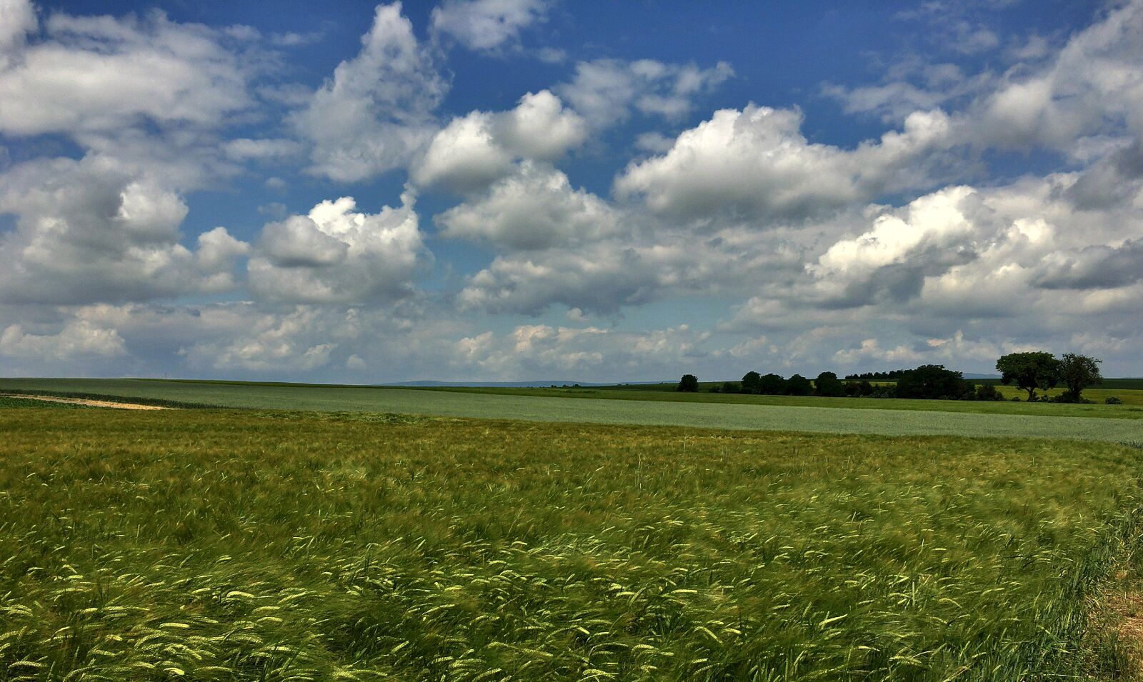Apple iPhone 6s sample photo. Landscape, spring, clouds photography