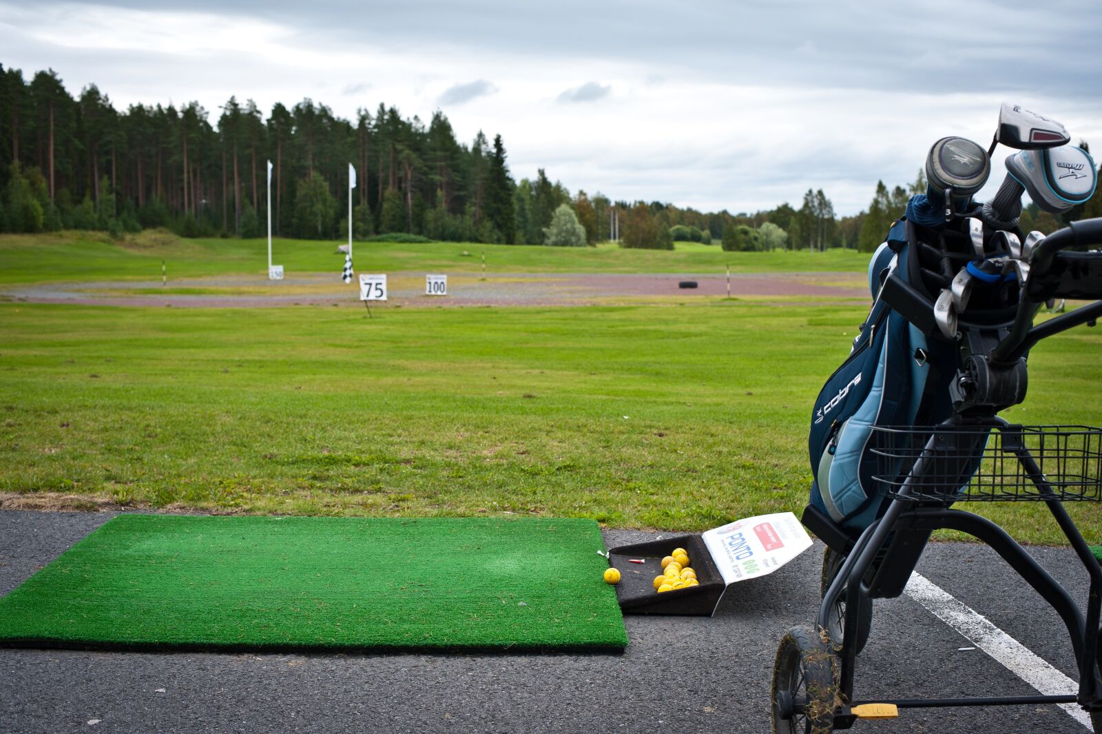 Nikon D700 sample photo. Sweden golf club, golf photography