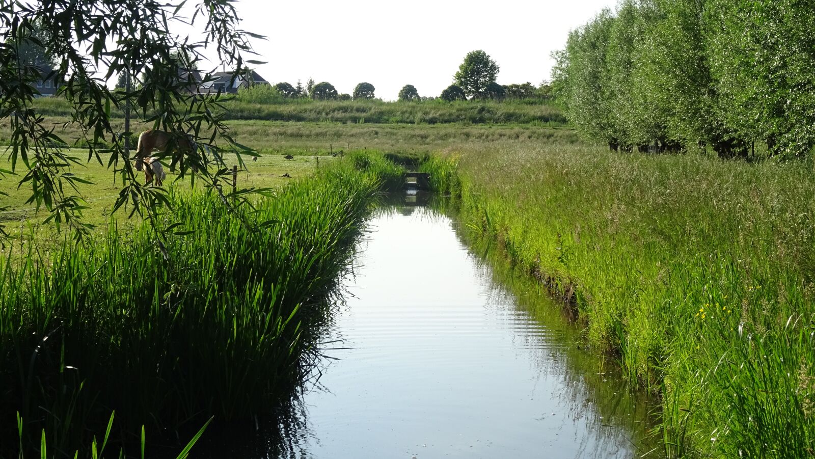 Sony DSC-HX60 sample photo. River, meadow, view photography