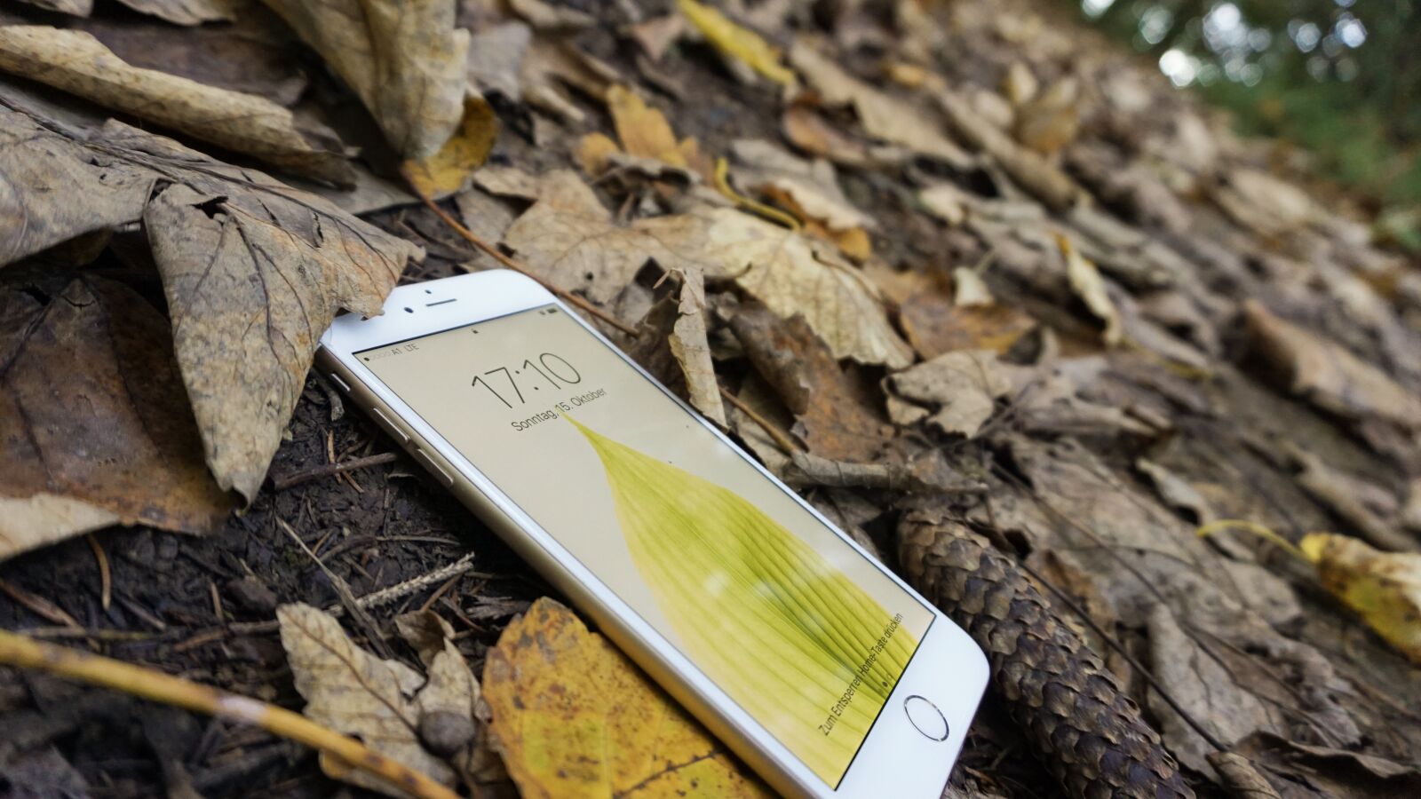 Sony a6000 sample photo. Iphone, apple, fall photography