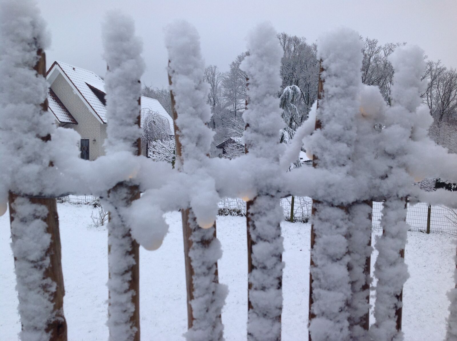 Apple iPad sample photo. Winter, fence, snow photography