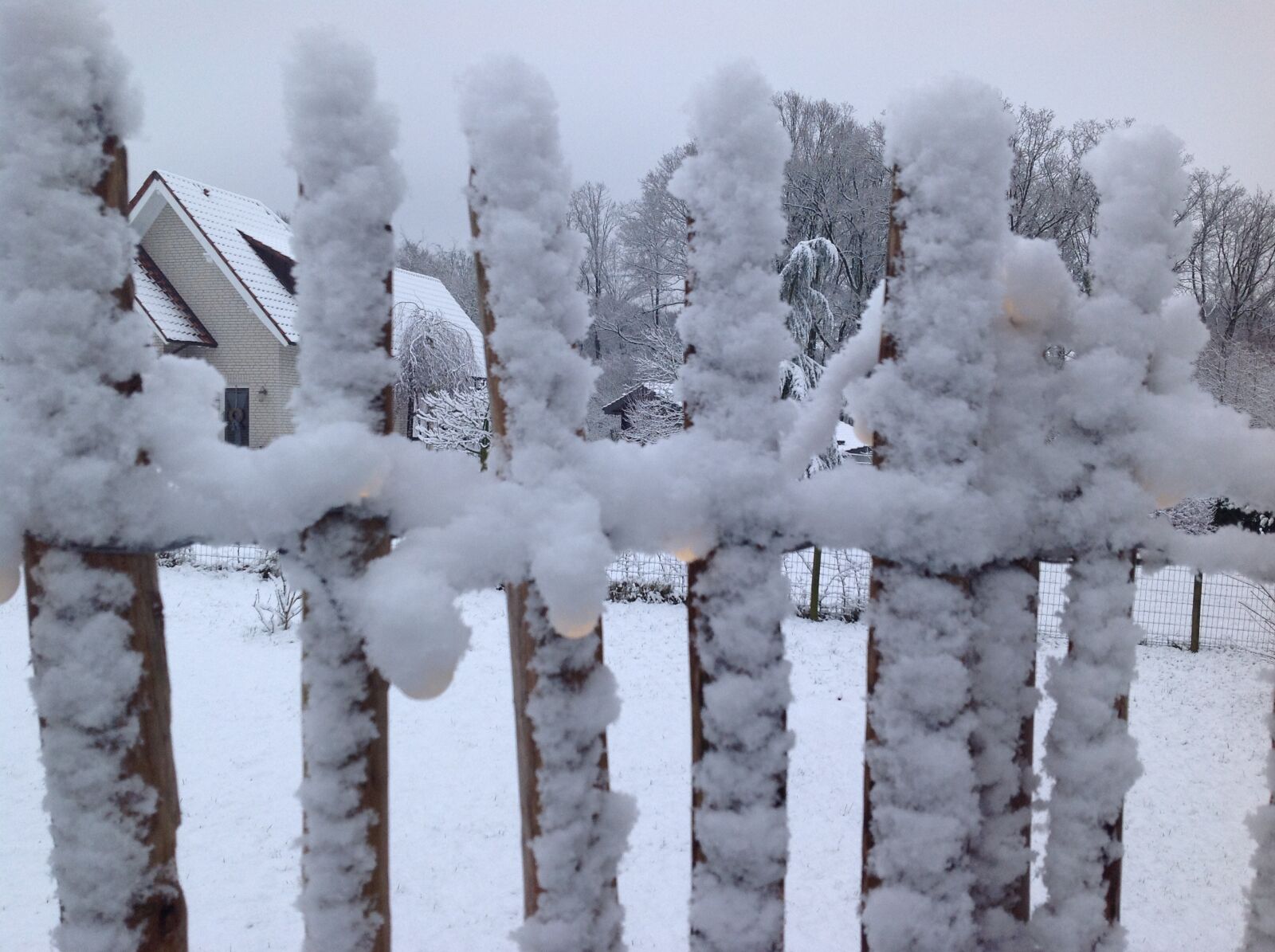 iPad back camera 4.28mm f/2.4 sample photo. Winter, fence, snow photography