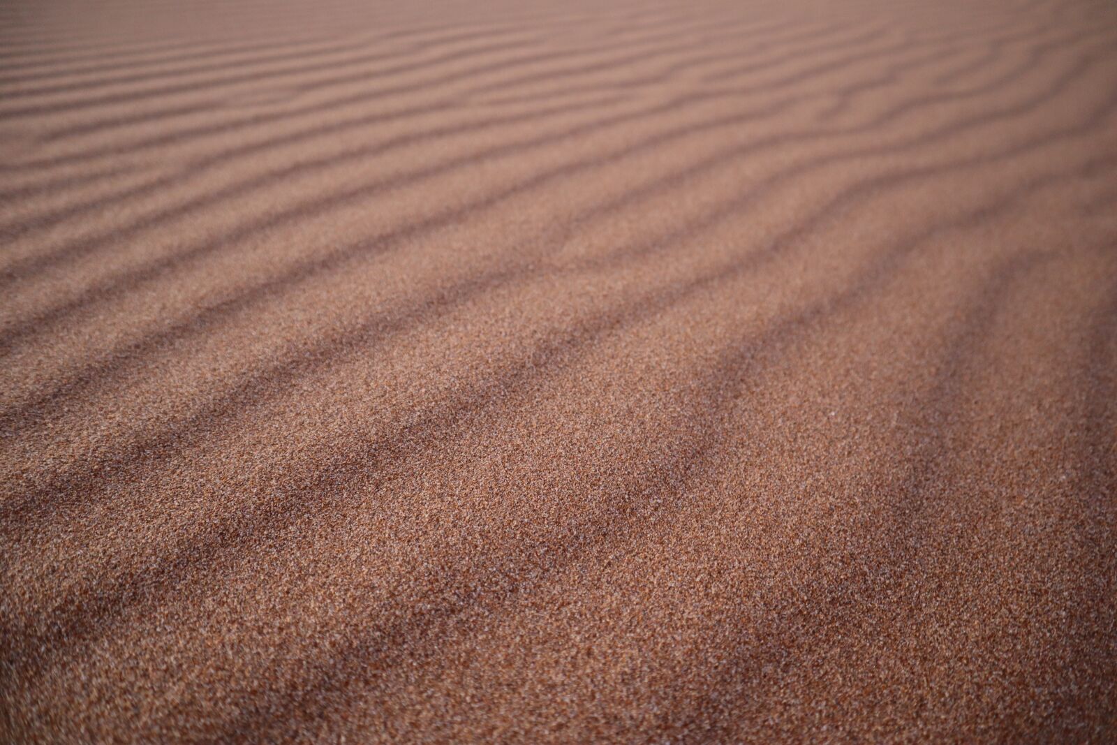 Canon EF-M 15-45mm F3.5-6.3 IS STM sample photo. Background, texture, sand photography