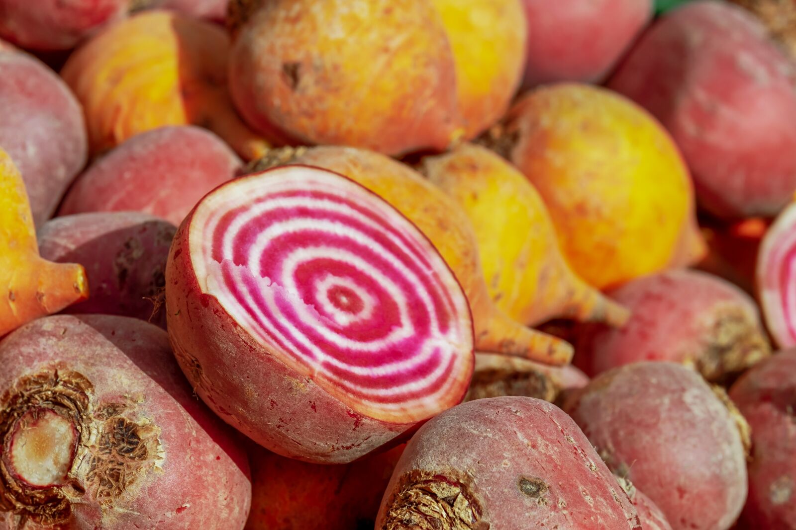 Fujifilm XF 55-200mm F3.5-4.8 R LM OIS sample photo. Beetroot, beets, colorful photography