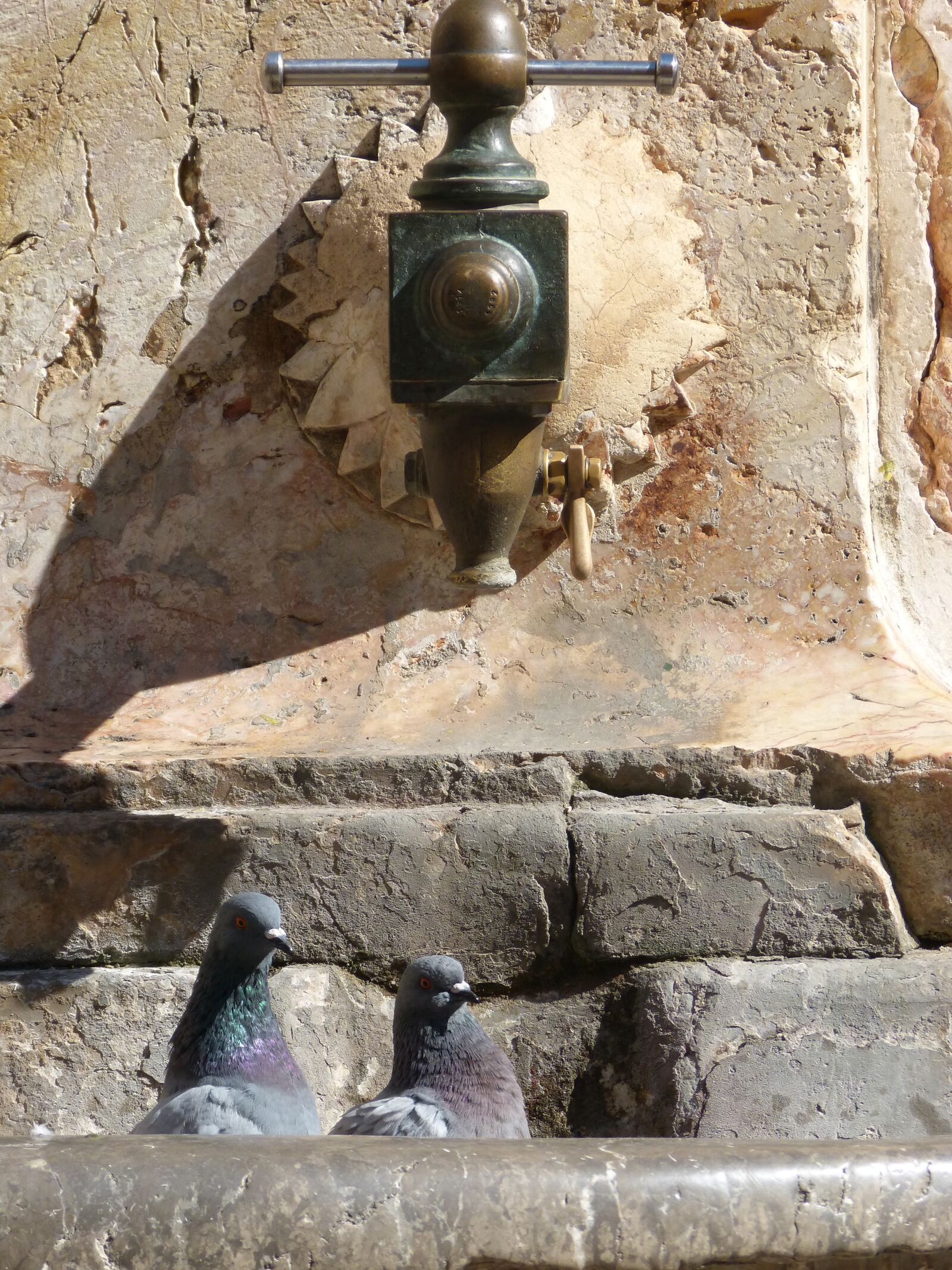 Panasonic DMC-FZ62 sample photo. Source, old, pigeons photography