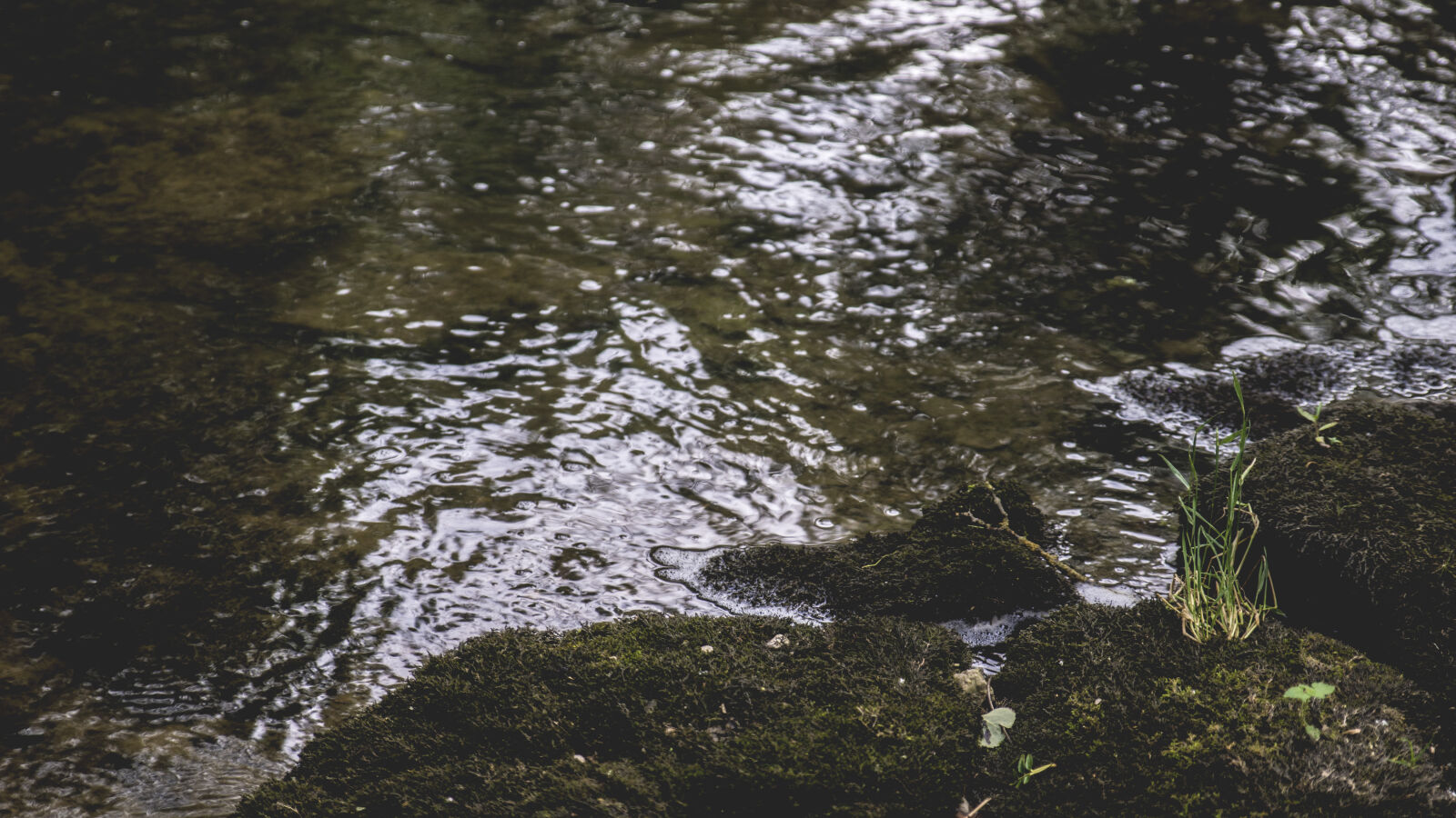 24-70mm F2.8-2.8 SSM sample photo. Nature, river, riverside, water photography