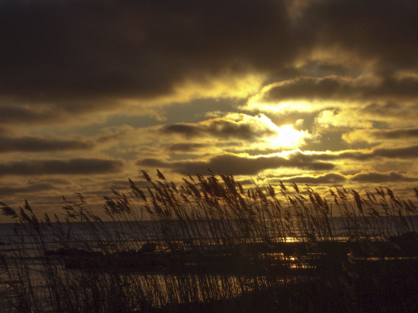 Pentax OPTIO E35 sample photo. Gotland, autumn, sea photography