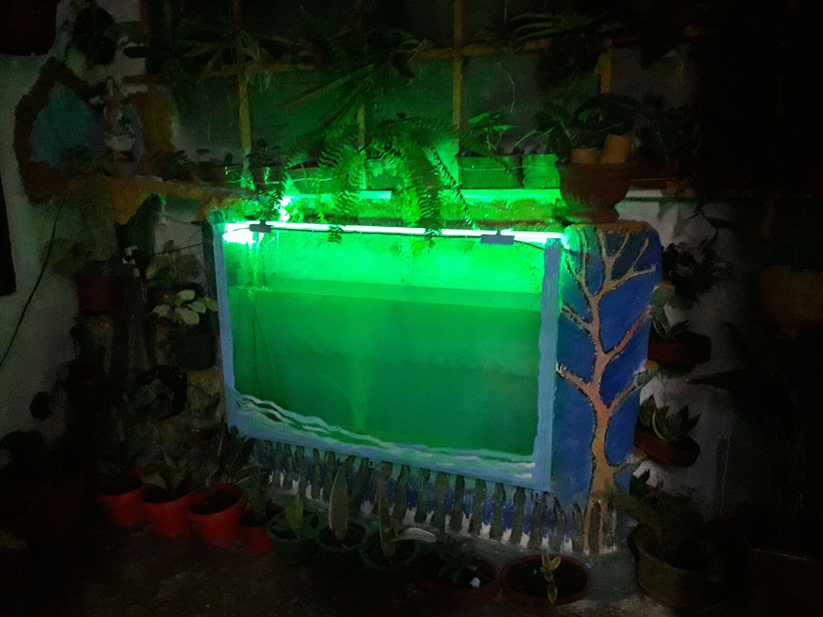 Samsung Galaxy J6 sample photo. Aquarium, fish, green photography
