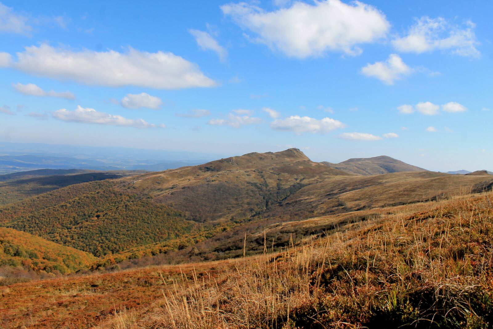 Canon EOS 1100D (EOS Rebel T3 / EOS Kiss X50) sample photo. Bieszczady, autumn, beech berdo photography