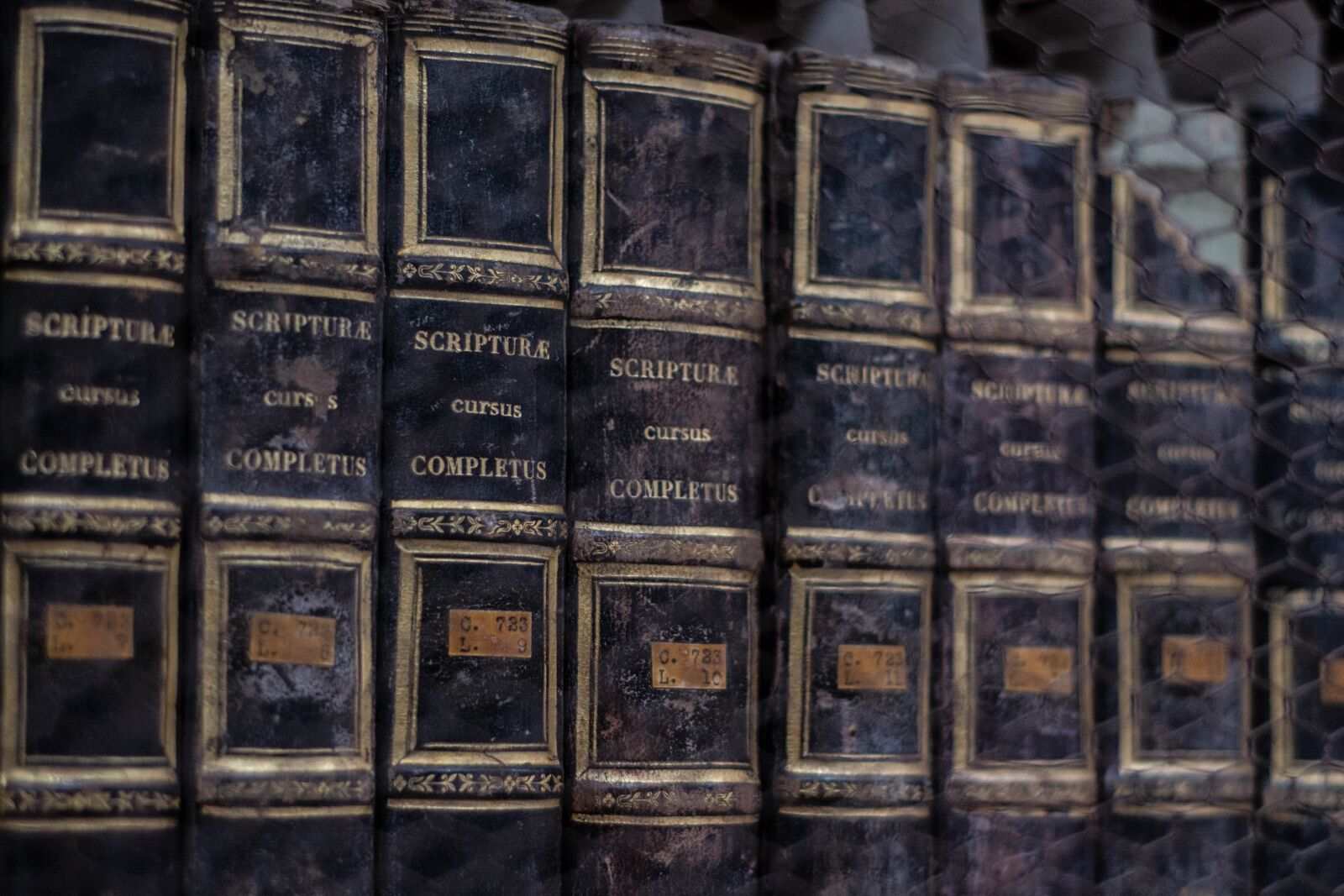 Nikon D5200 sample photo. Books, bookshelf, library photography