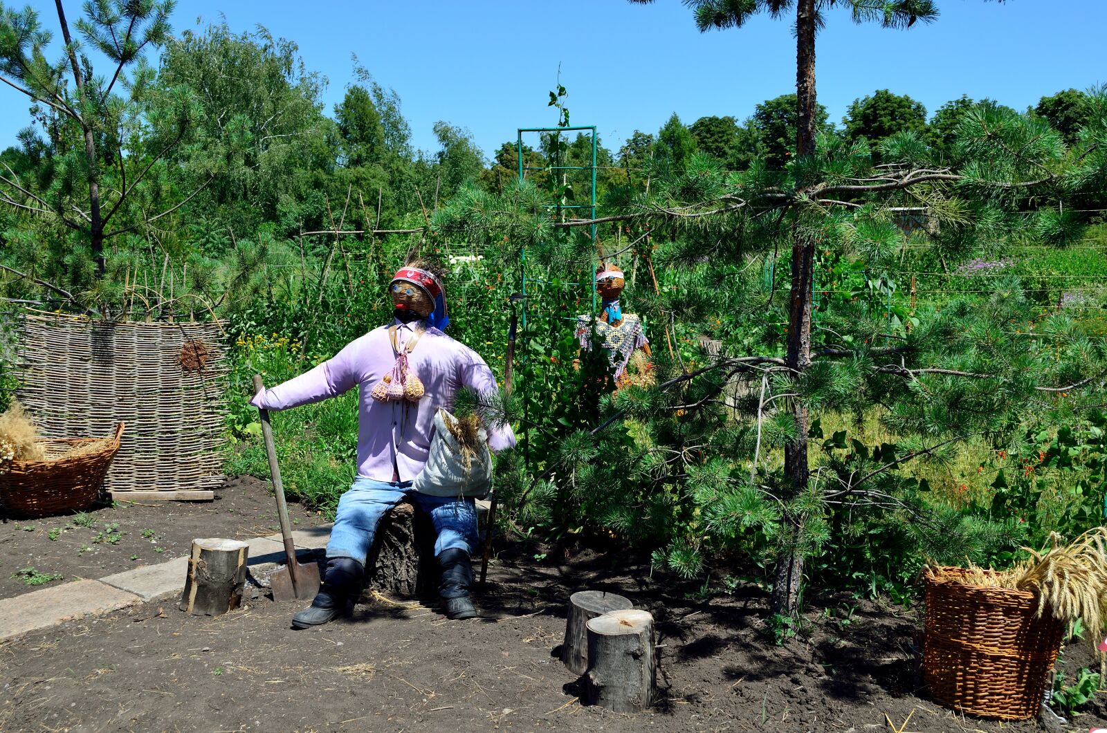 Nikon D5100 sample photo. Vegetable garden, scarecrow, woman photography