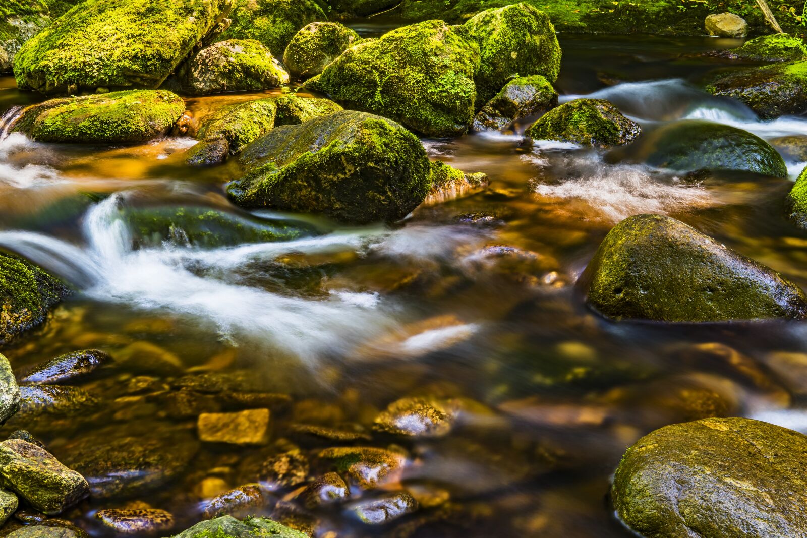 Sony a6300 + Sigma 30mm F2.8 EX DN sample photo. Water, river, nature photography