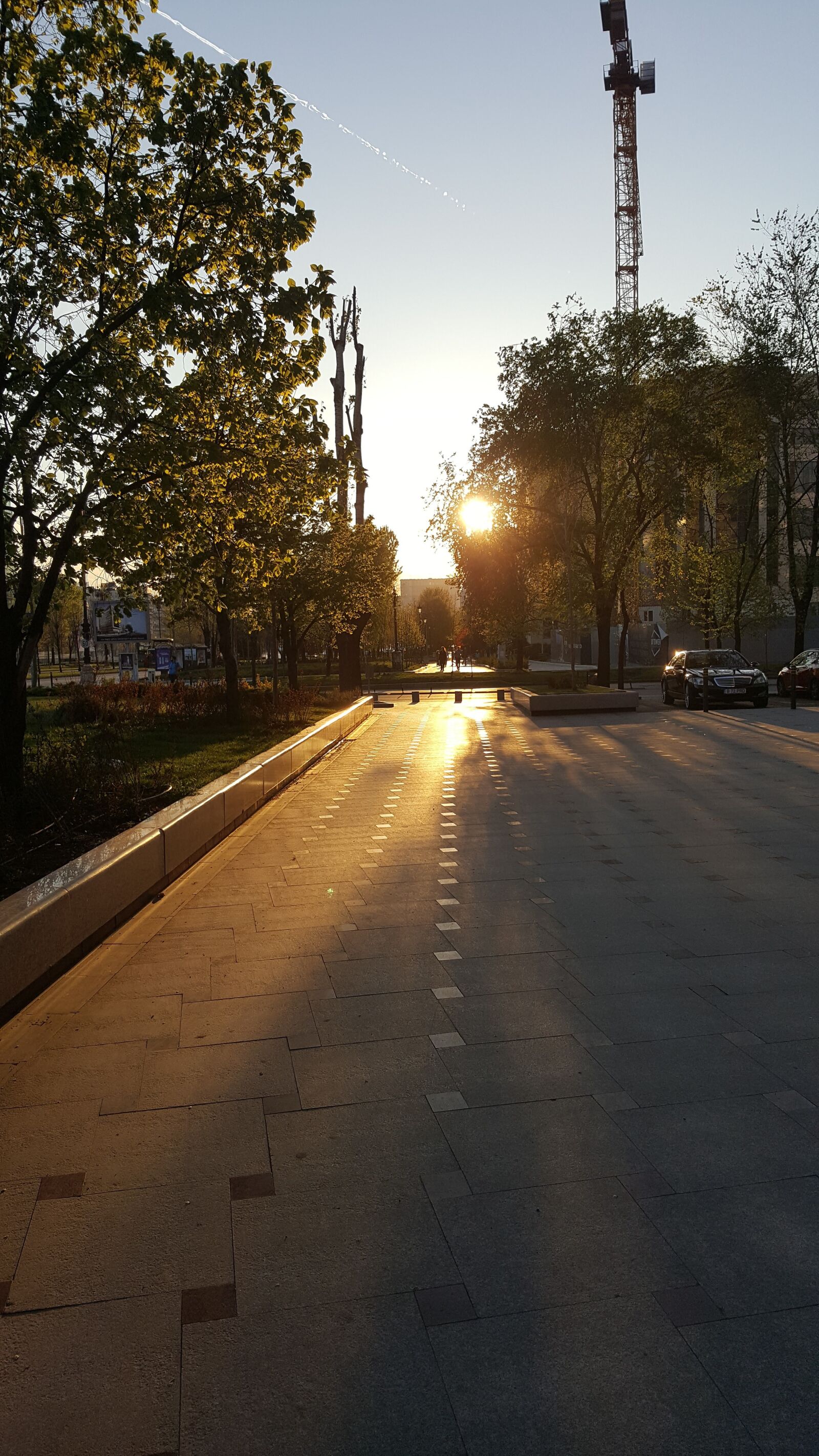 Samsung GALAXY S6 edge sample photo