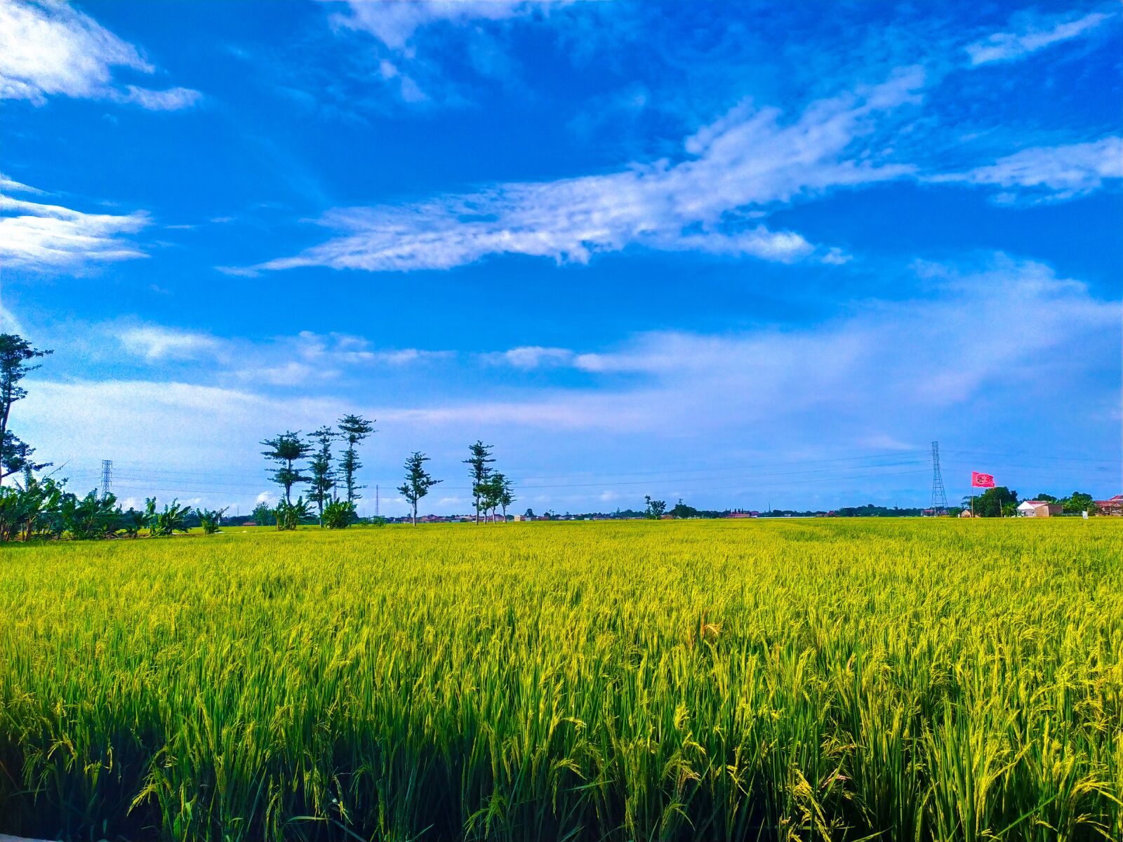 Xiaomi Redmi Note 7 sample photo. Desa, ku, cinta photography