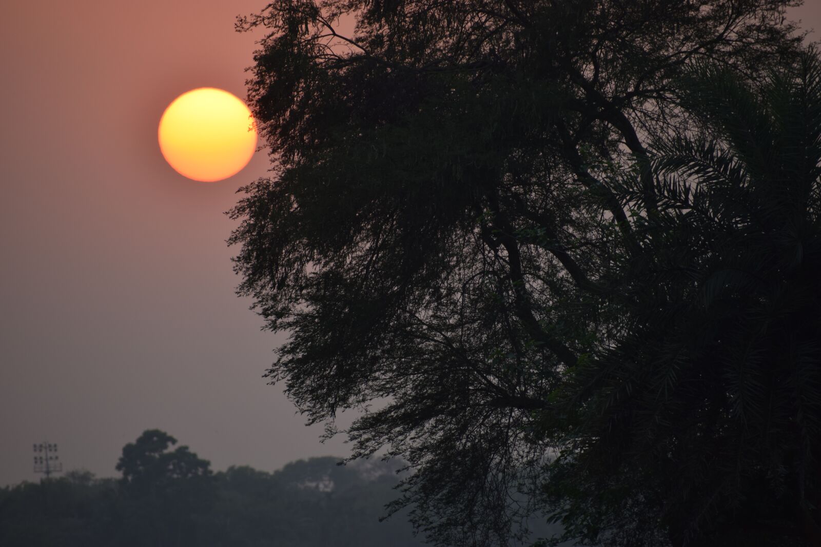 Nikon D5300 sample photo. Sun set, sun rise photography
