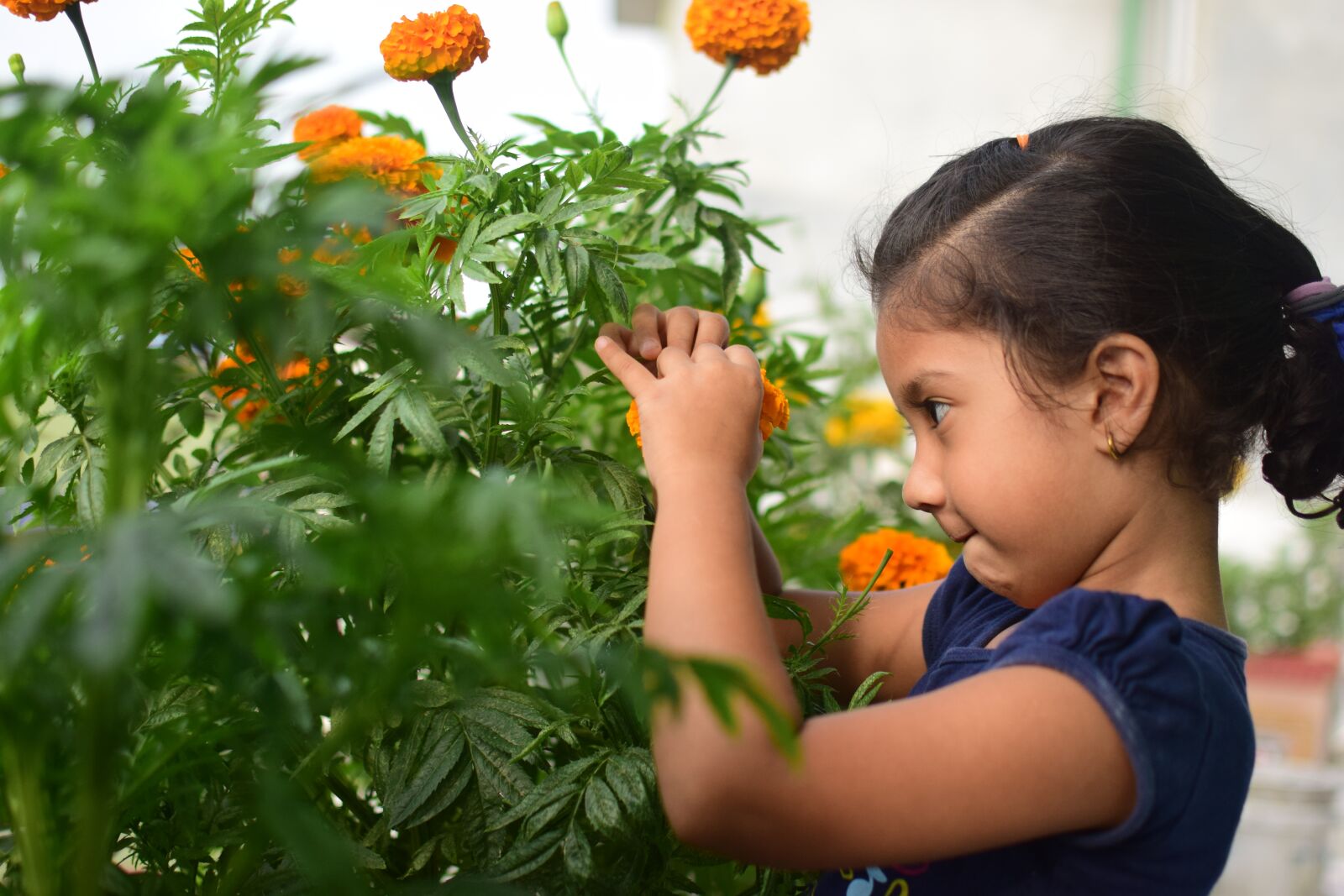 Nikon D5300 sample photo. Flower, child, kid photography