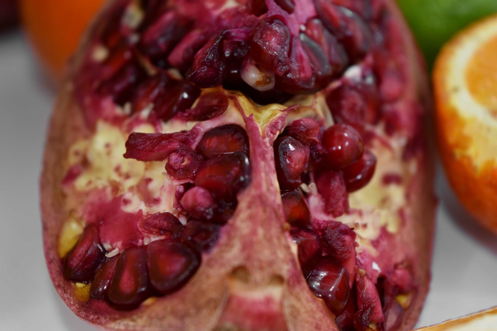 Nikon D5500 sample photo. Agriculture, aromatic, bitter, kernel photography