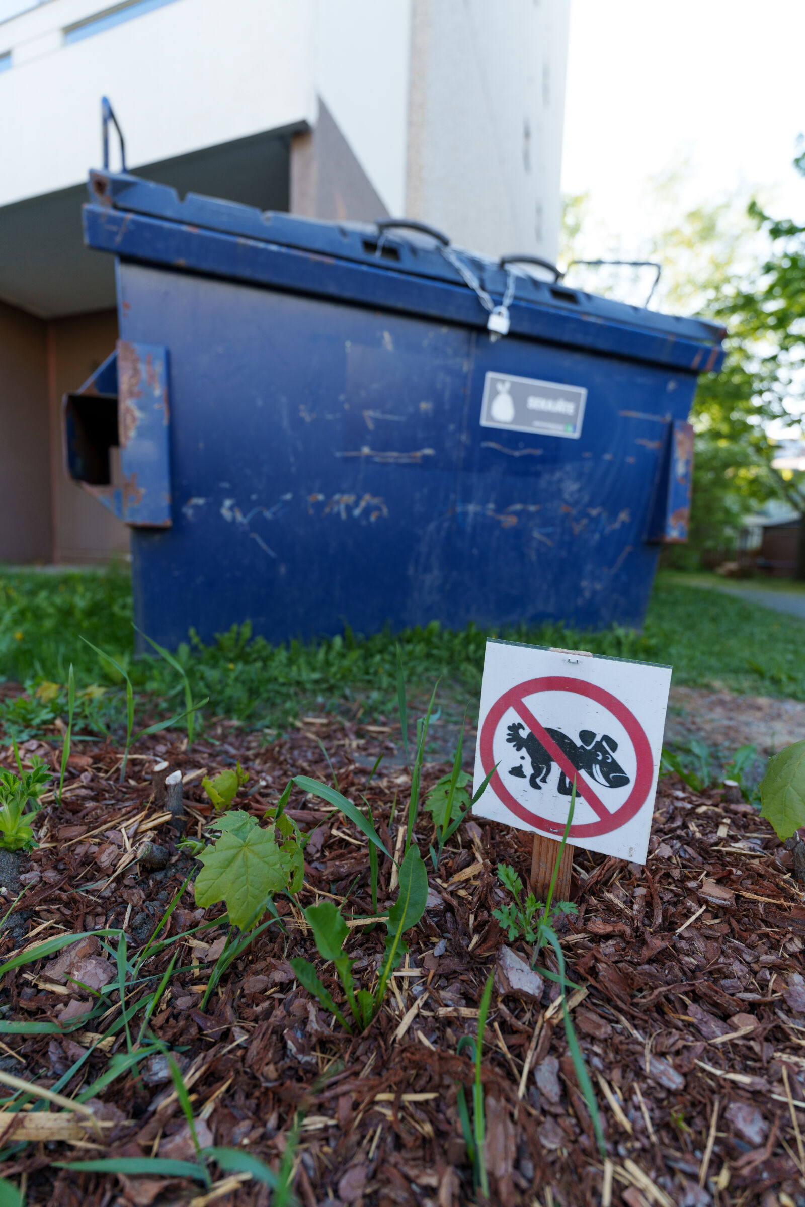 Sony a7R V sample photo. Backyard trash container photography
