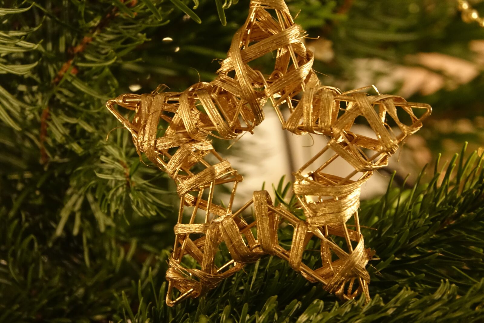 Sony Cyber-shot DSC-RX10 III sample photo. Christmas, star, christmas time photography