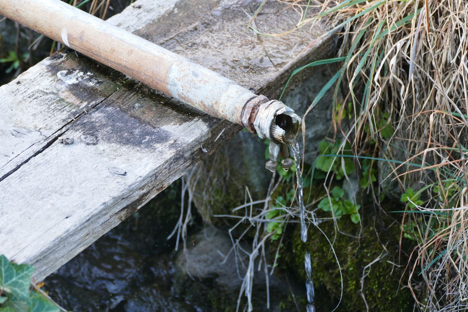 Panasonic Lumix DMC-FZ1000 sample photo. Trickle, water, watercourse photography