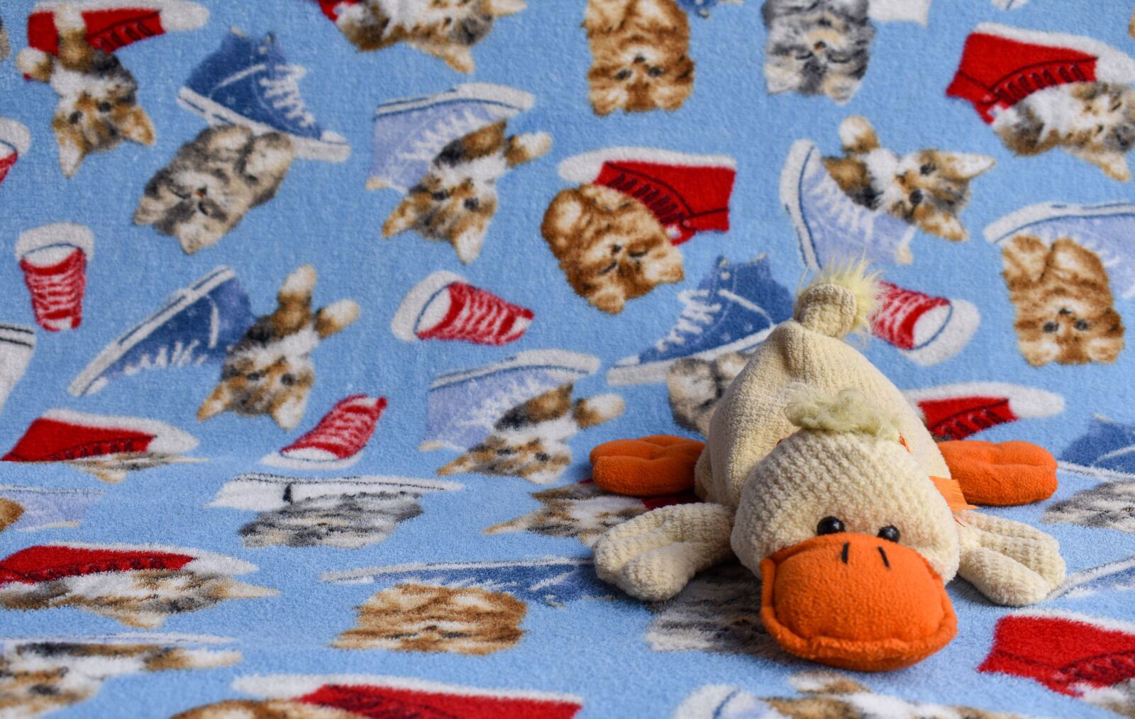 Nikon D3400 sample photo. Stuffed duck, toy, children photography