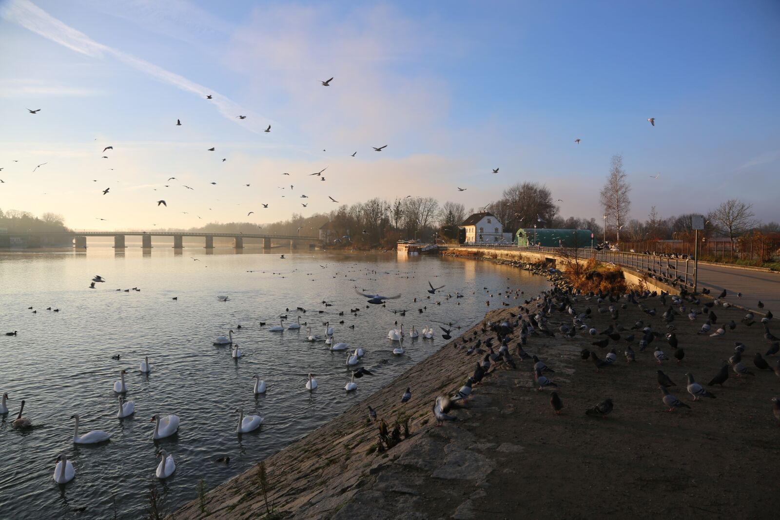 Canon EF 24-105mm F4L IS USM sample photo. Waters, nature, winter photography