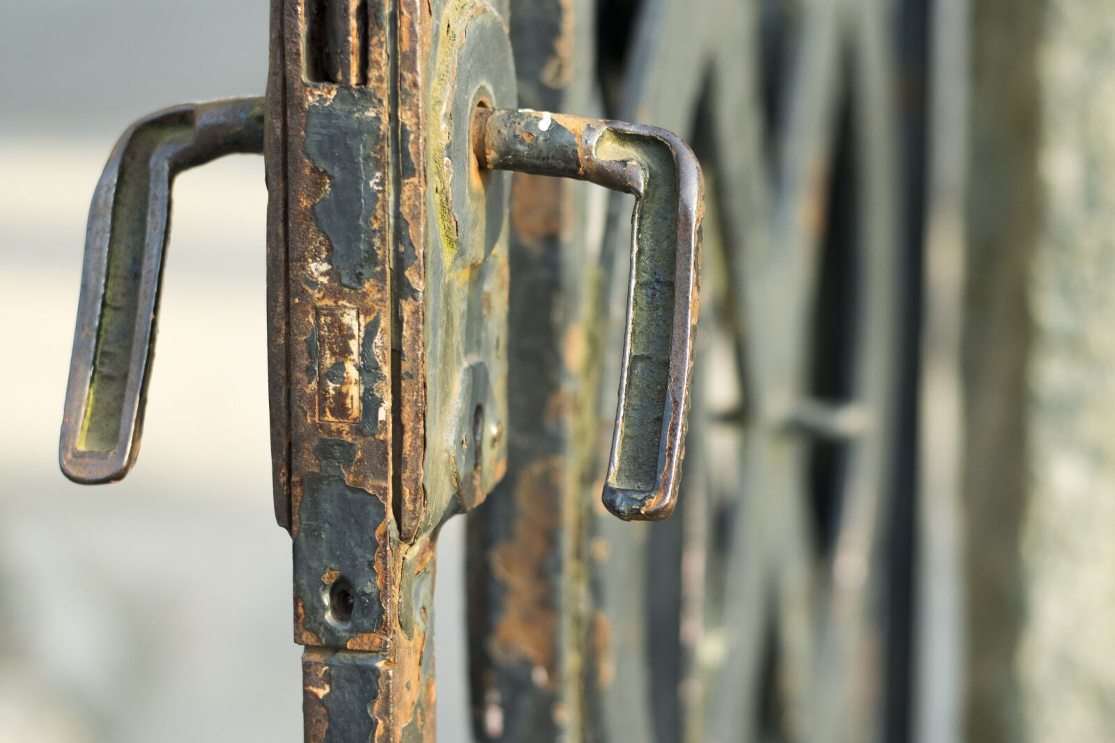 Nikon D5300 sample photo. Grind, handle, rust photography