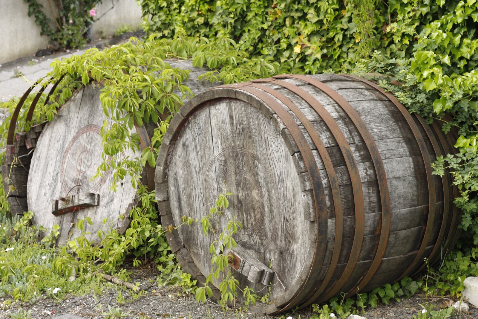 Canon EOS 40D sample photo. Barrel, wooden, storage photography