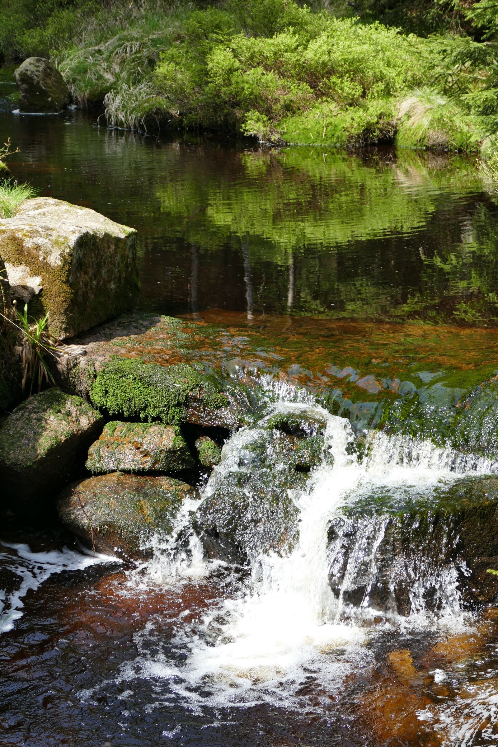 Panasonic Lumix DMC-FZ1000 sample photo. Bach, creek, water photography