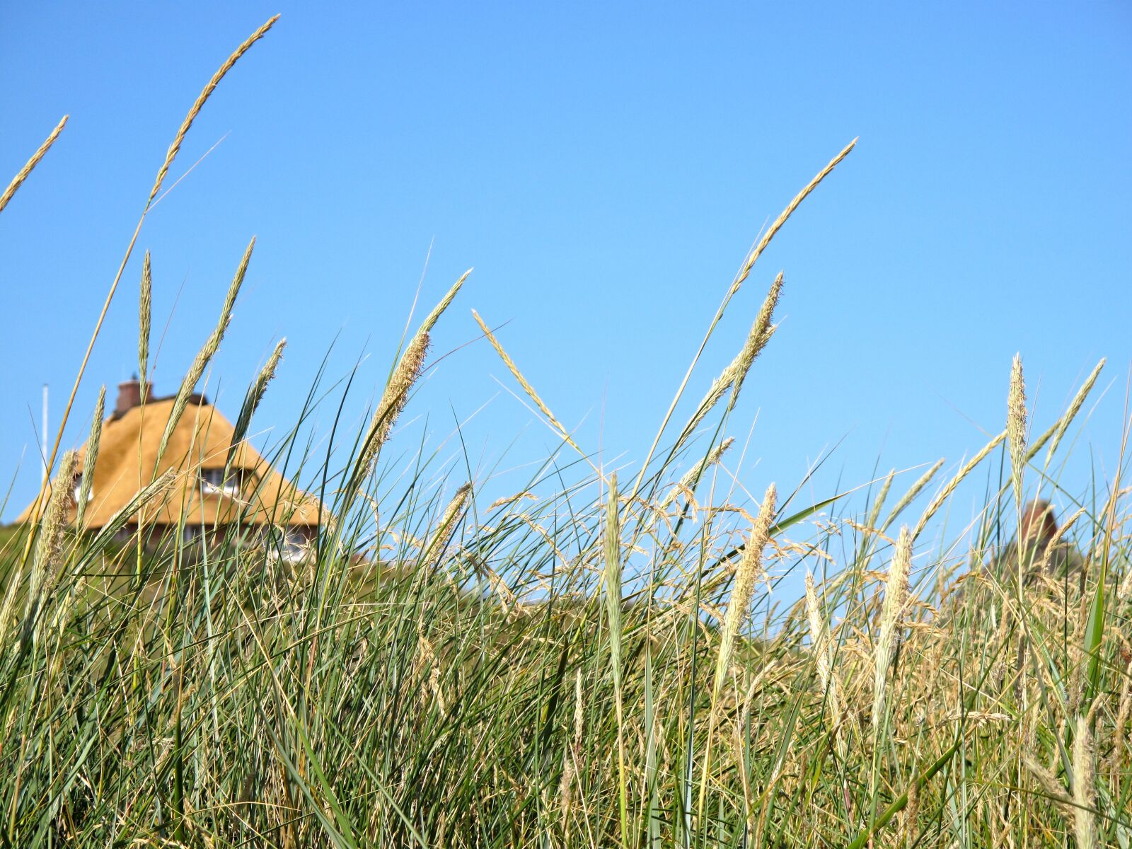 Canon PowerShot G10 sample photo. Sylt, sun, north sea photography