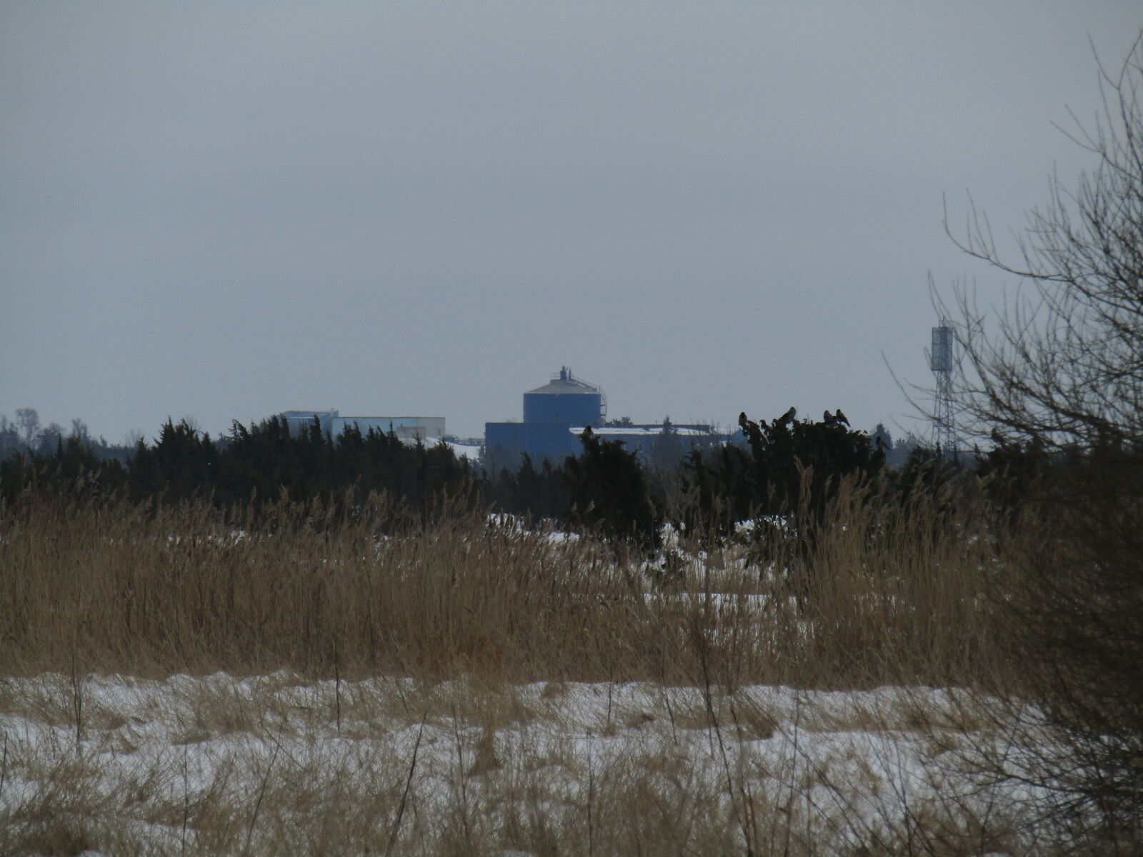 Canon PowerShot SX420 IS sample photo