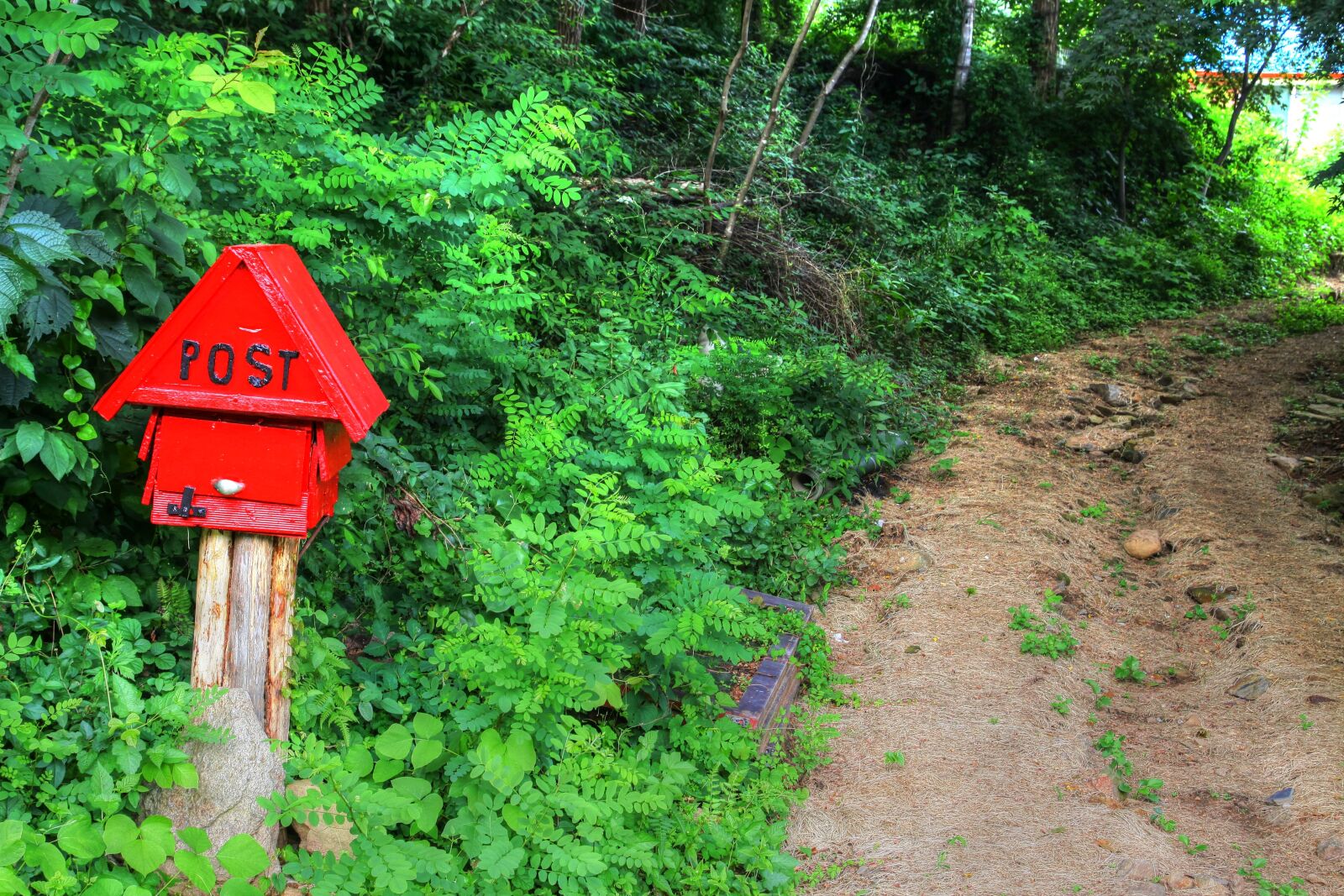 Canon EOS 50D sample photo. Country, gil, mailbox photography