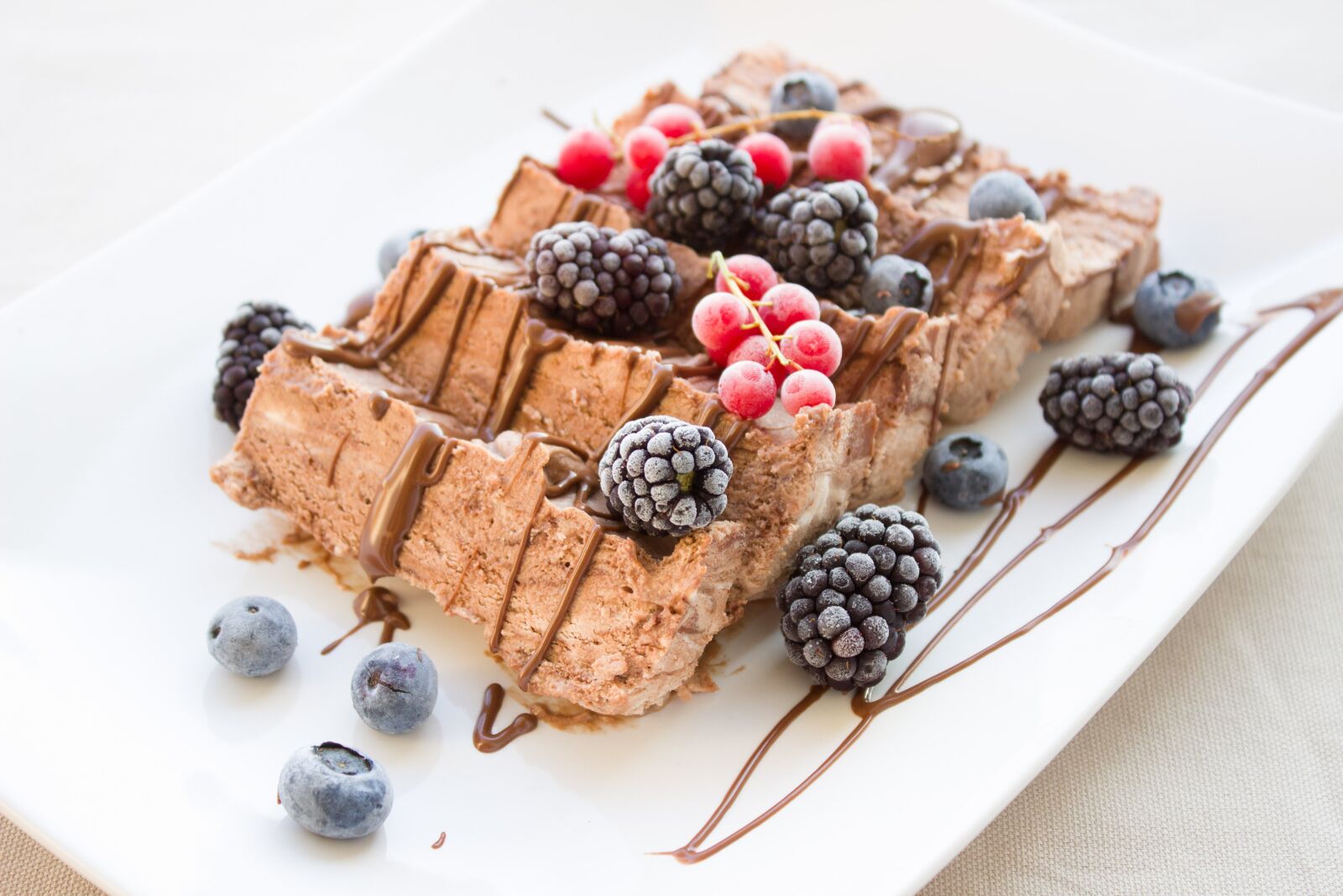 Canon EOS 600D (Rebel EOS T3i / EOS Kiss X5) sample photo. Ice, berries, chocolate ice photography