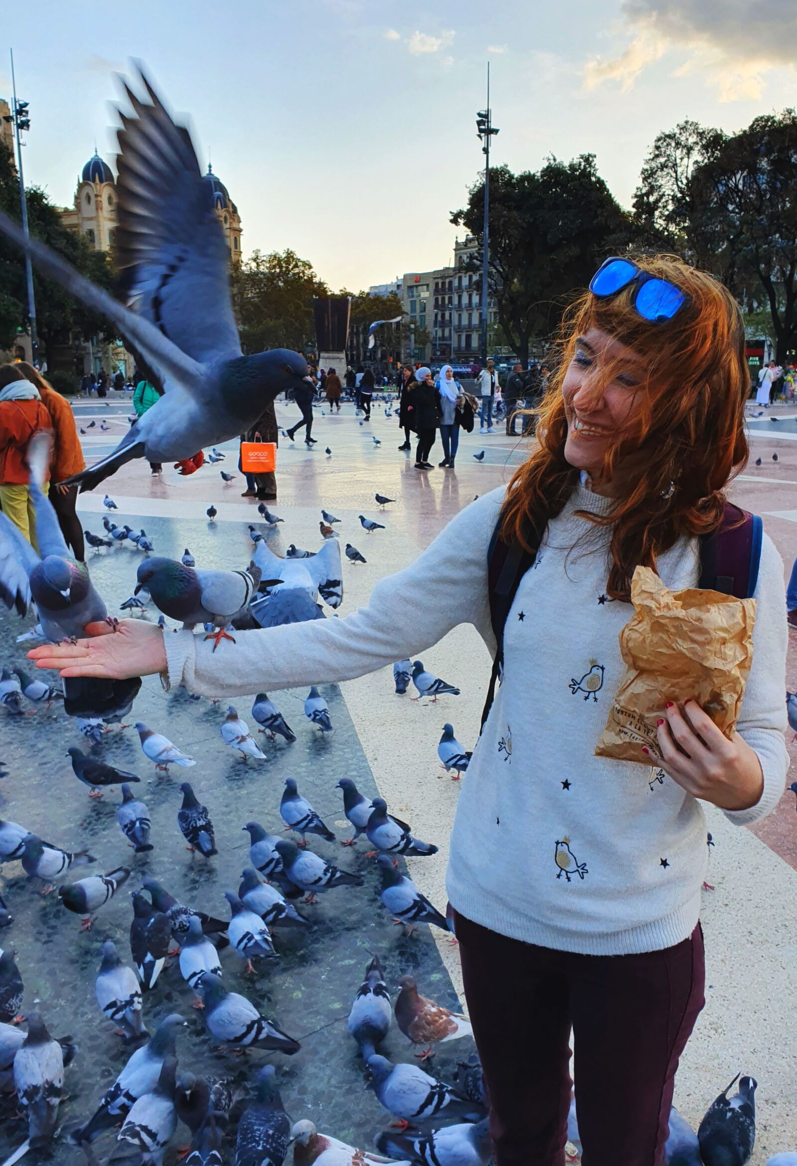 Samsung Galaxy S10 sample photo. Pigeon, feeding, doves photography