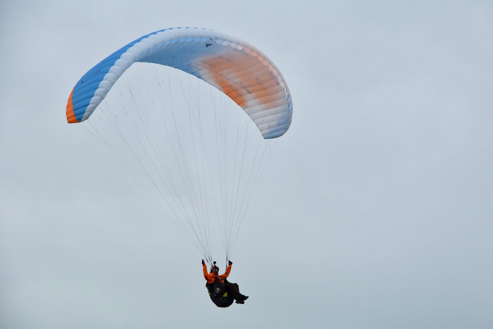 Nikon D5600 sample photo. Paragliding, paraglider, sailing wing photography