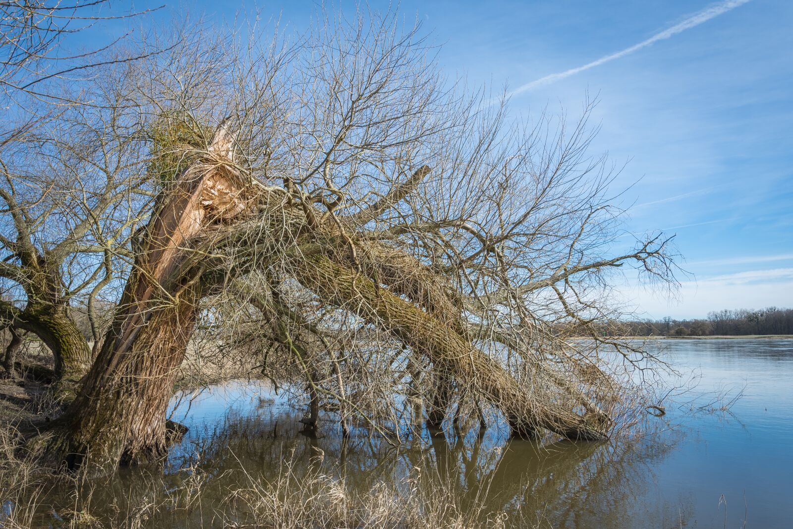 Nikon D7200 sample photo. Elbe, elbufer, river photography