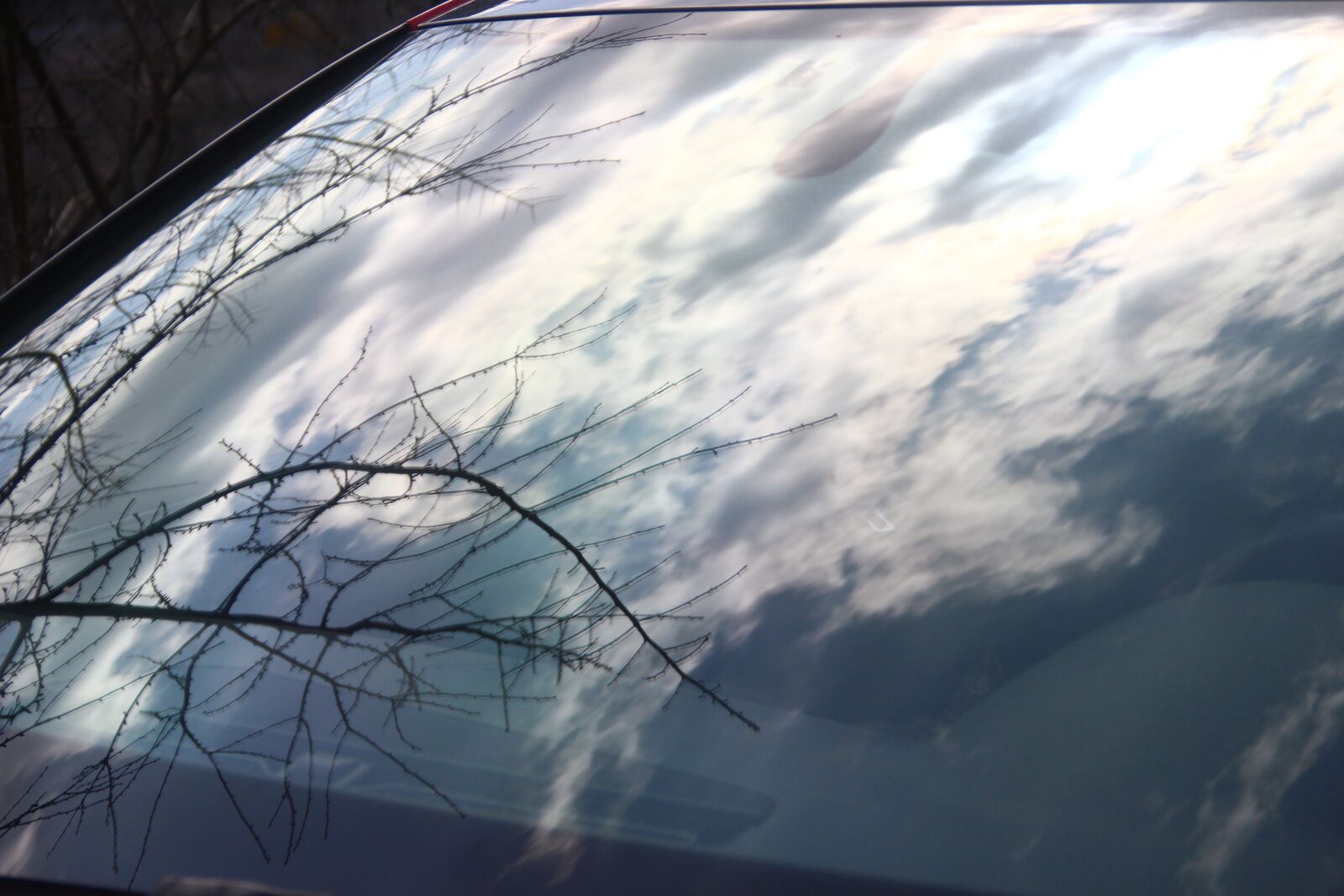 Canon EOS 600D (Rebel EOS T3i / EOS Kiss X5) sample photo. Sky, branch, reflection photography