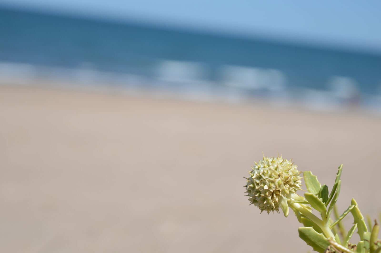 Nikon D3200 sample photo. Nature, sky, outdoors photography